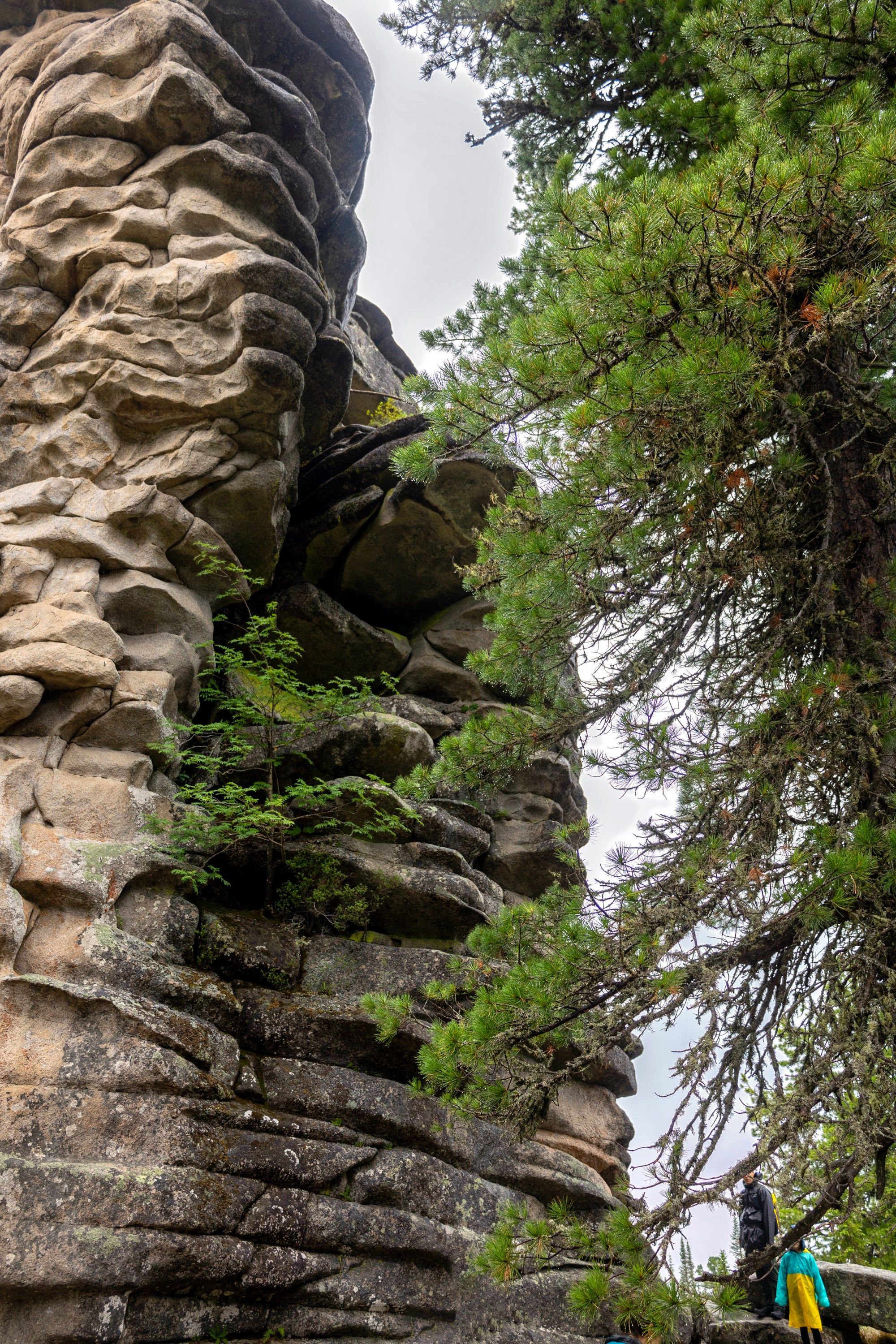 Ергаки. Семейный и детский фотограф в Красноярске, Дивногорцева Светлана
