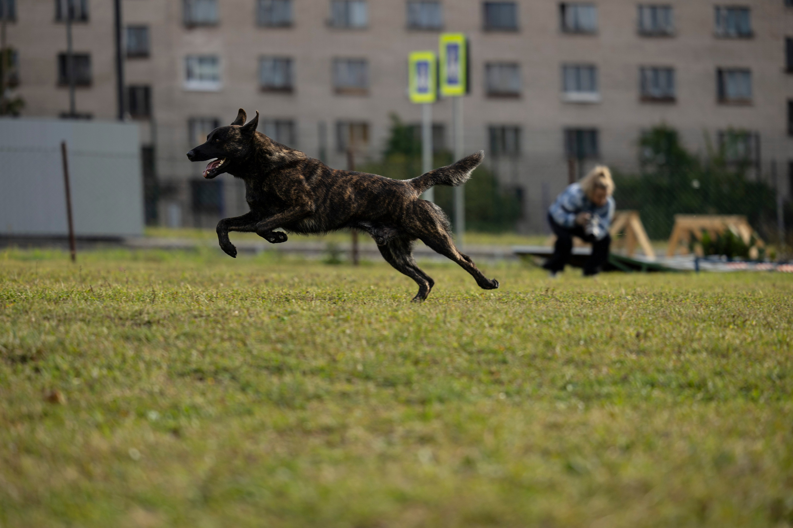 Испытания по Мондьорингу г. Пушкин. Фотограф-анималист Анна Маринич