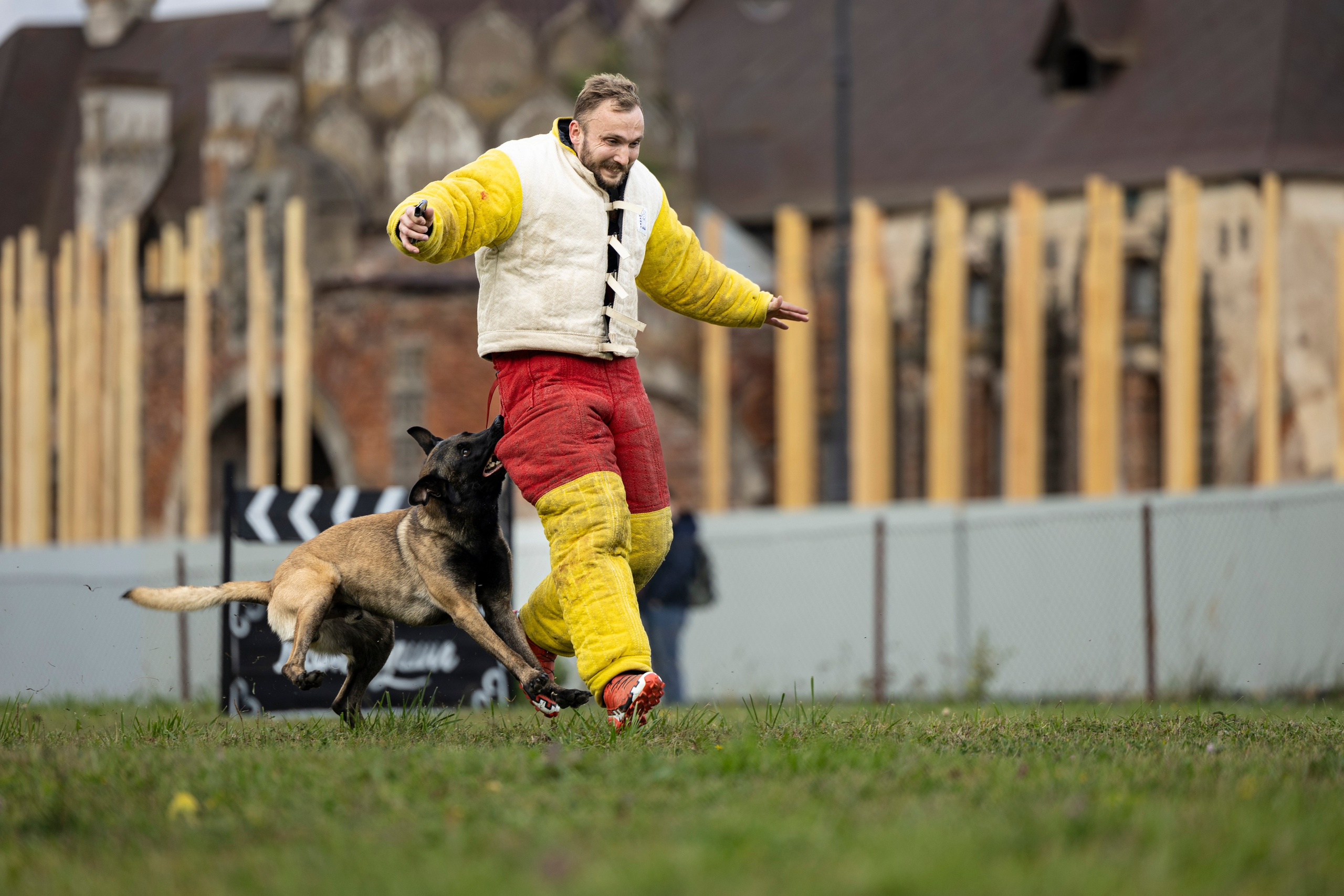 Испытания по Мондьорингу г. Пушкин. Фотограф-анималист Анна Маринич
