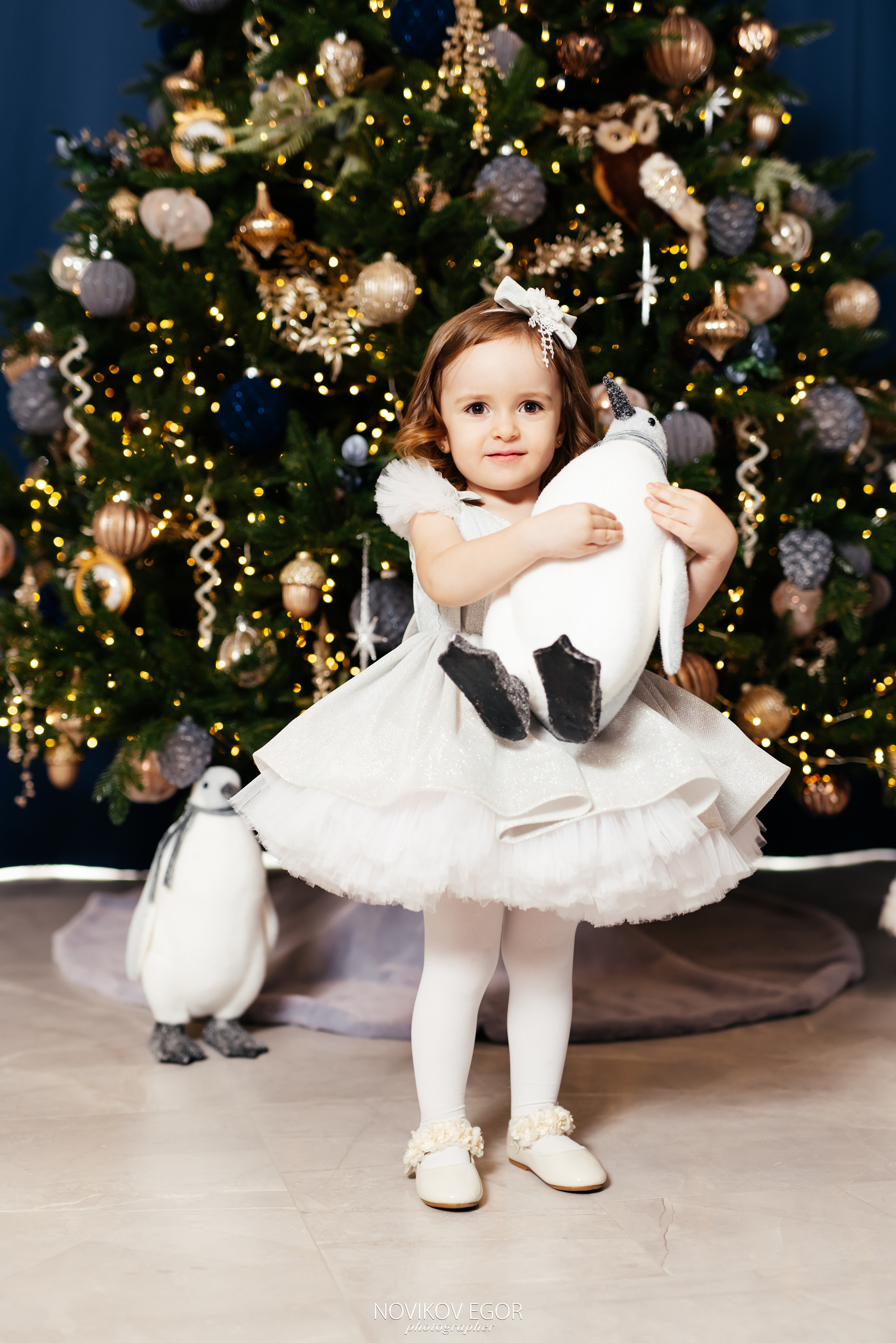 New Year. Фотограф Ростов-на-Дону
