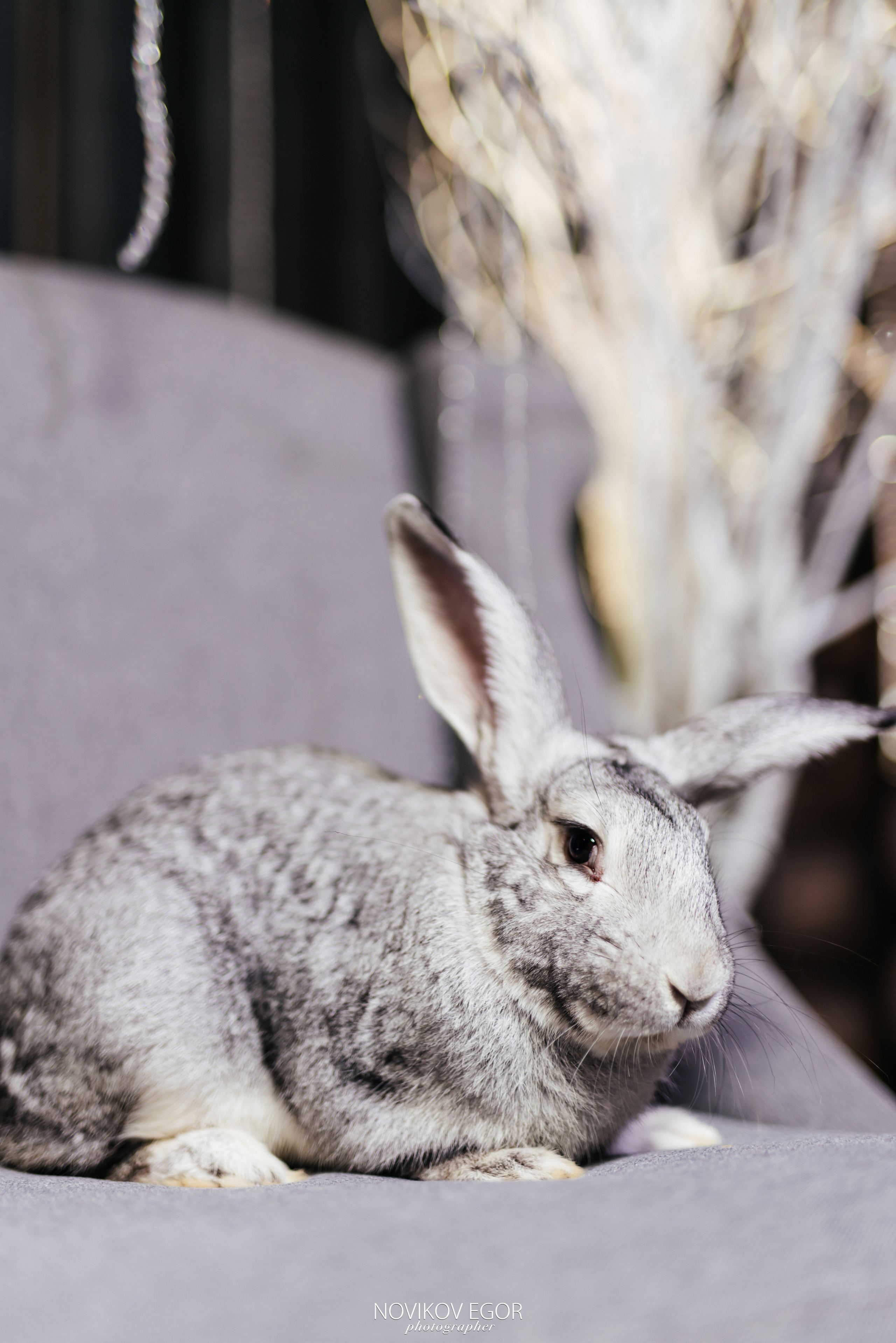 Utkino New Year X Prime Event. Фотограф Ростов-на-Дону