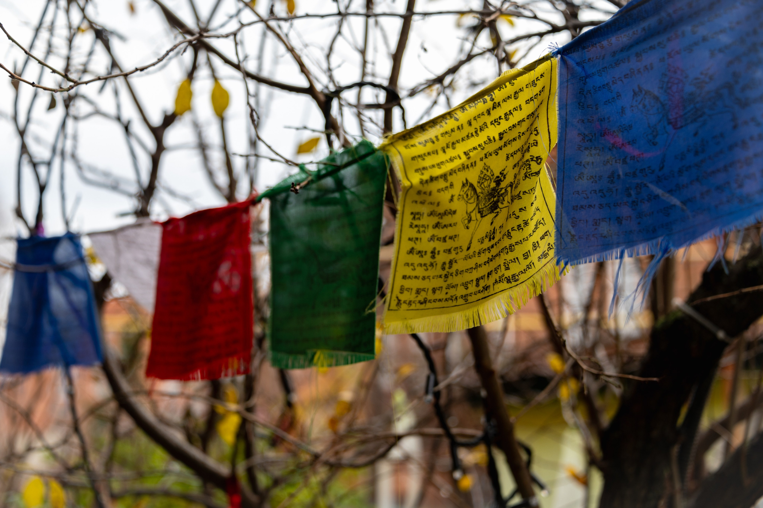 Пенза. Ноябрь 2023. Фотограф Роман Адлер