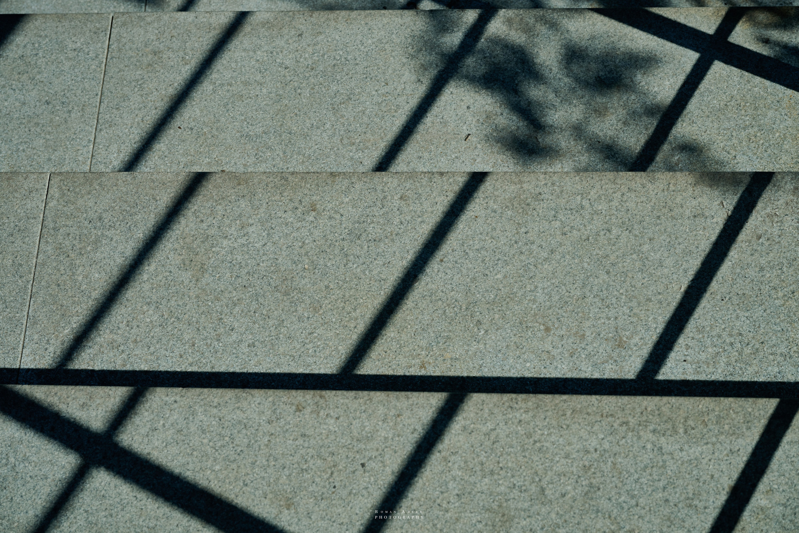 Орел. Апрель 2024. Фотограф Роман Адлер