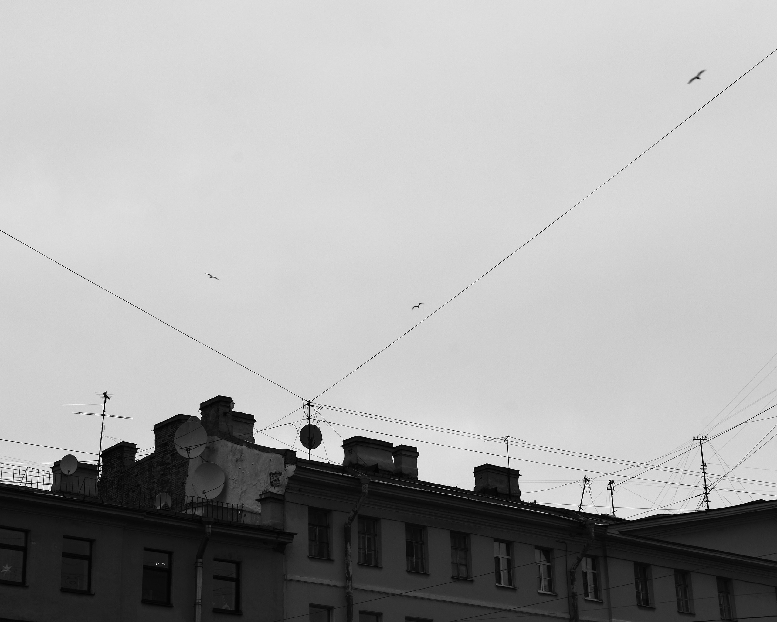 Санкт-Петербург. BELABONKA