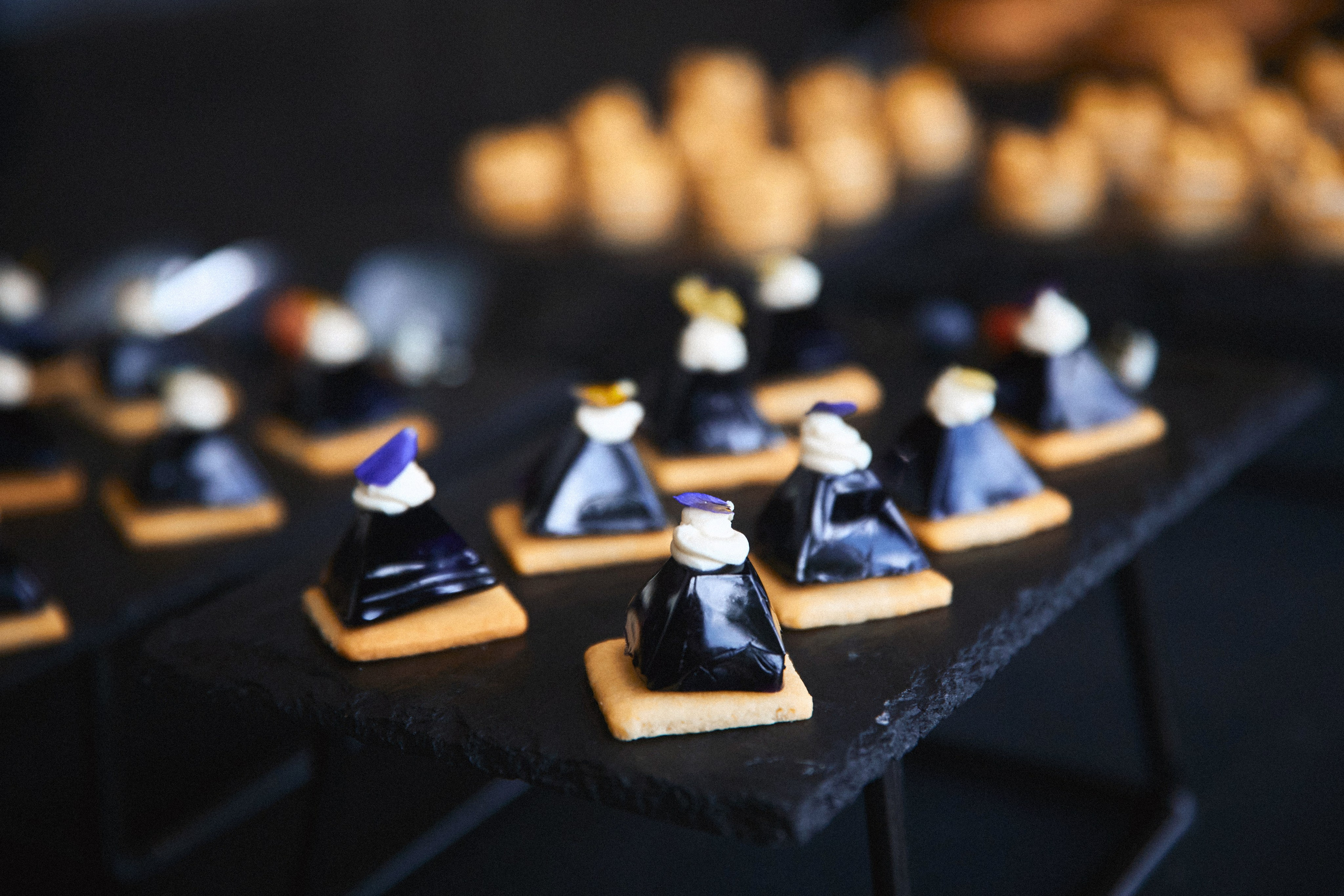 Презентация IT-проекта. Татьяна Фомичева. Репортажный и светский фотограф в Москве