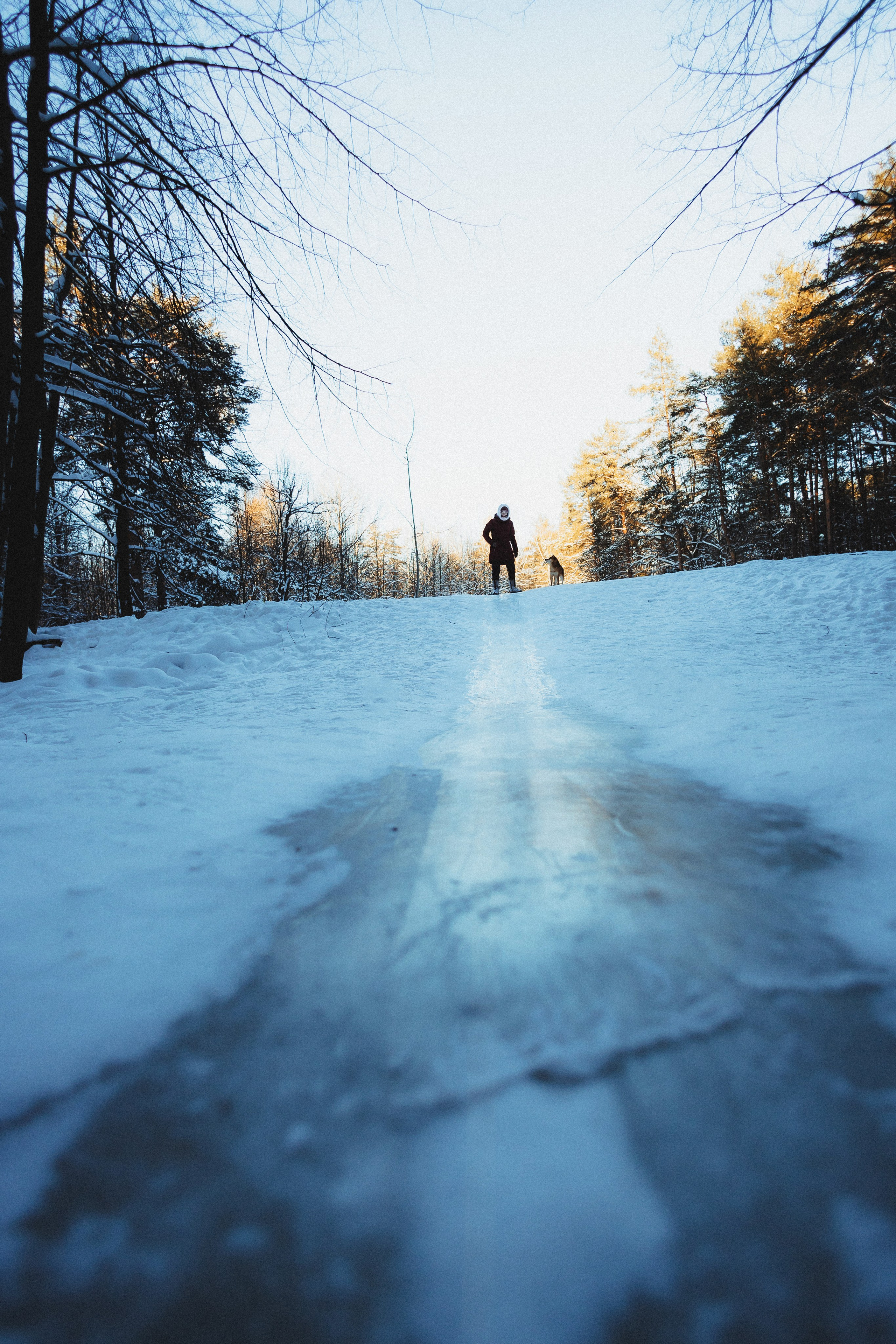 Шед, Цири и Ира