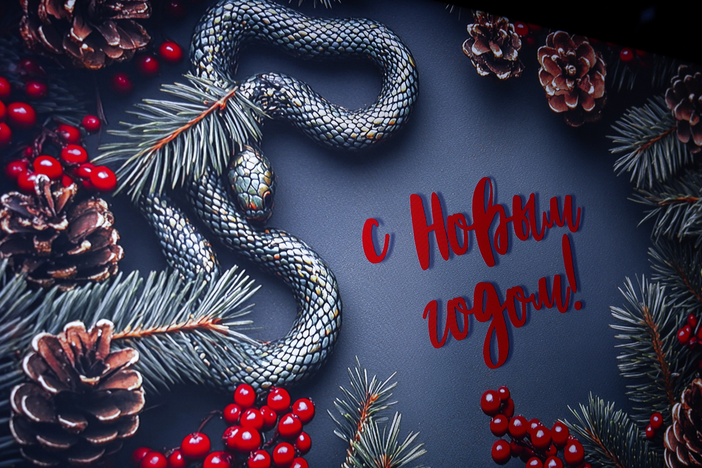 Репортажная съёмка. Свадебный фотограф в Иваново Гитарина Черняева