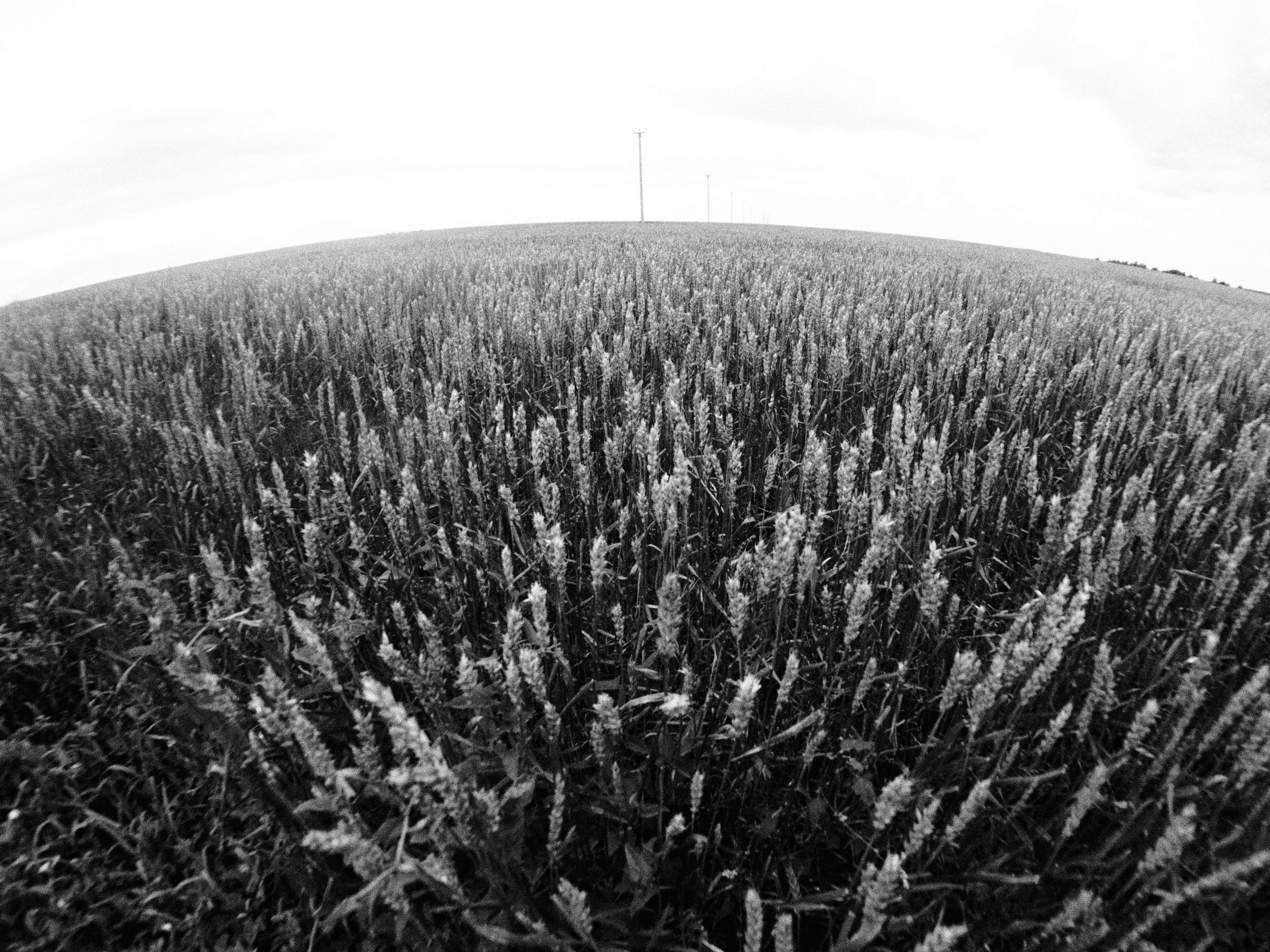 Промежуточные моменты (2023)