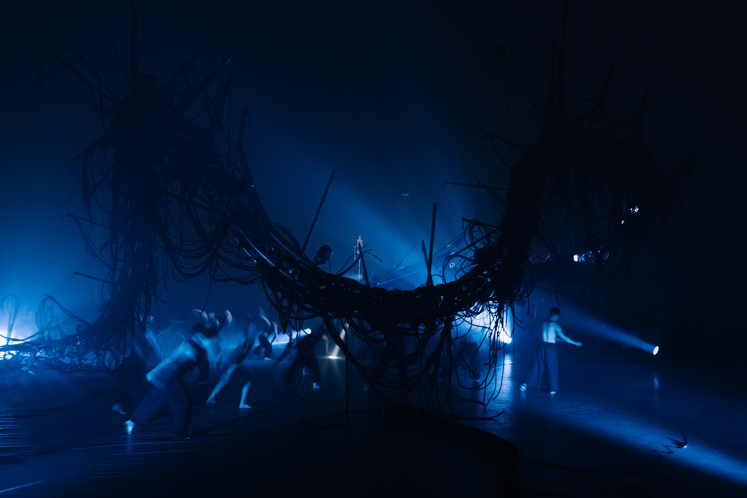 PERFORMA, The Hour of the Horse. @tomrus: Рустам Шагиморданов — фотограф