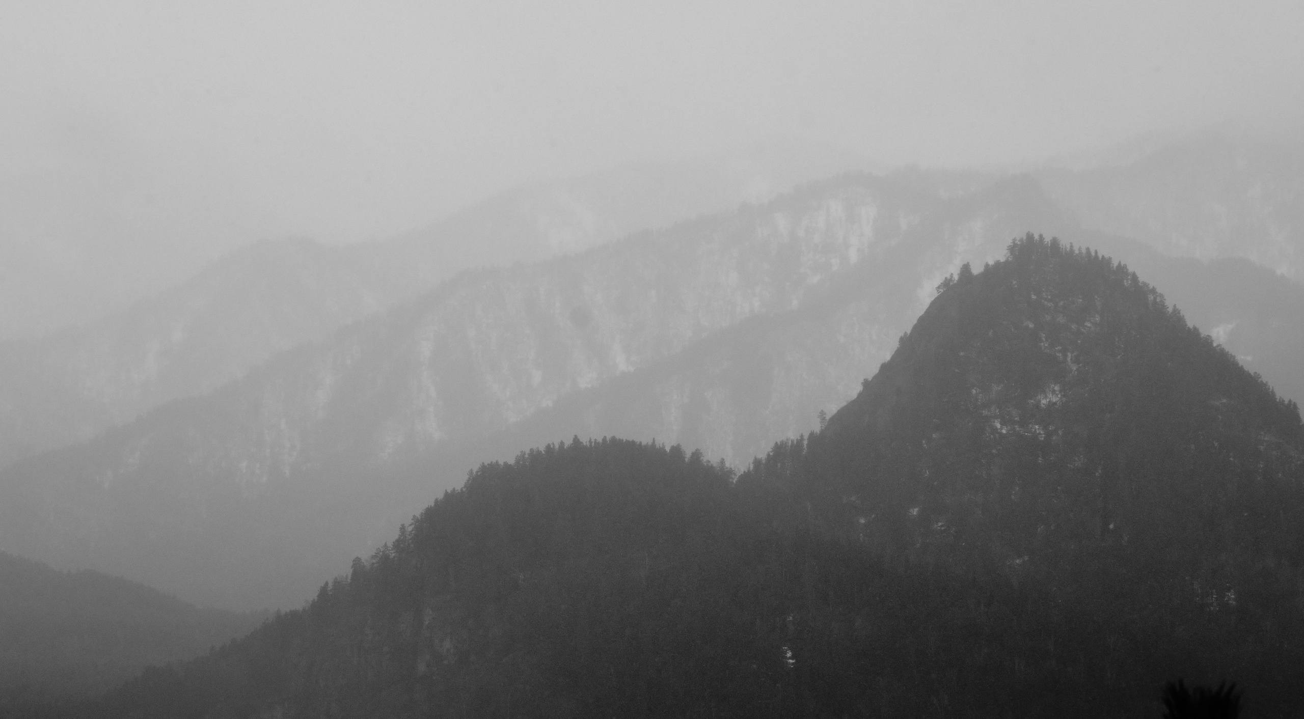 Алтай в ожидании лета. Shaltay Gallery