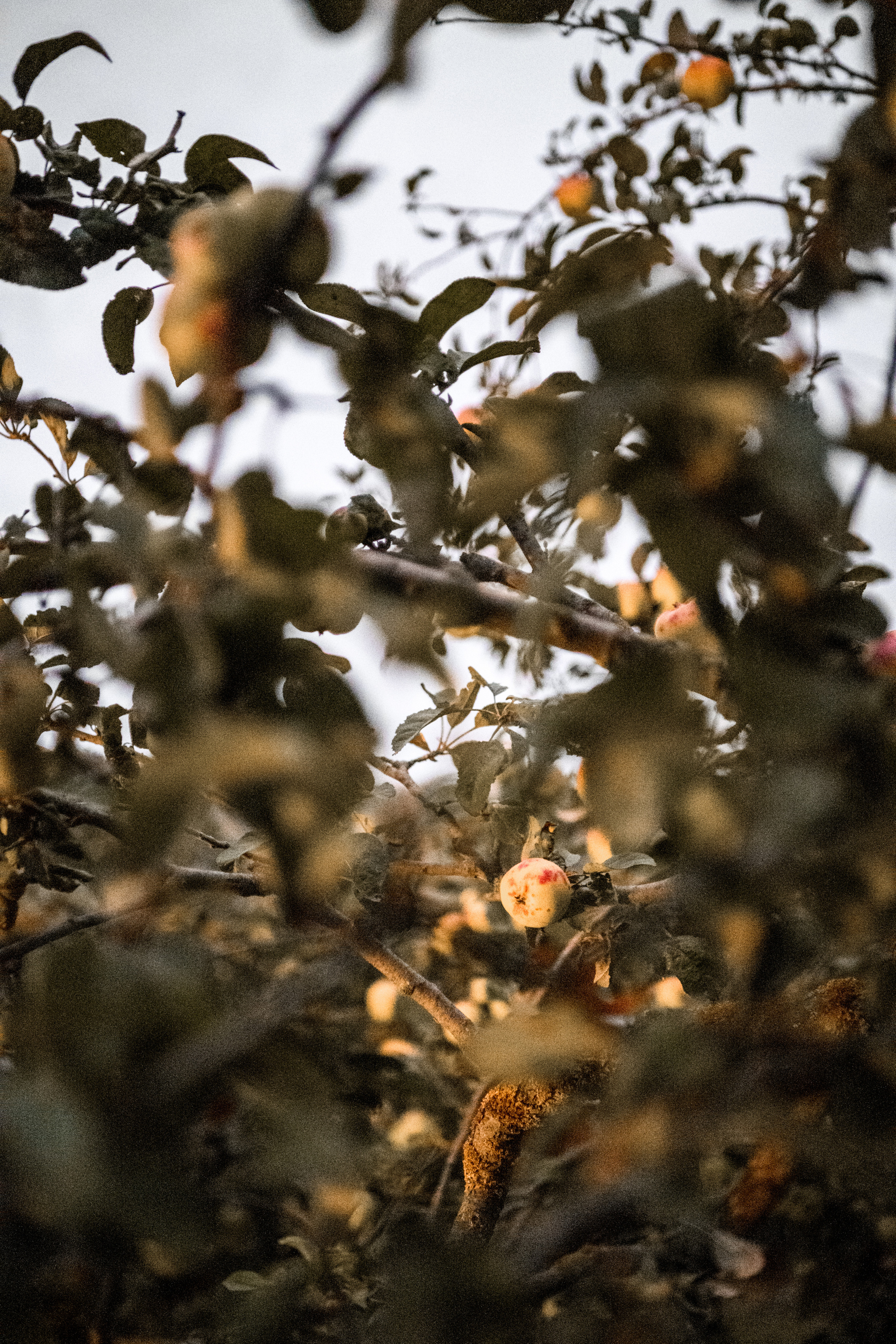 Белая скала. Фотограф беременности в Крыму Бобкова Ирина