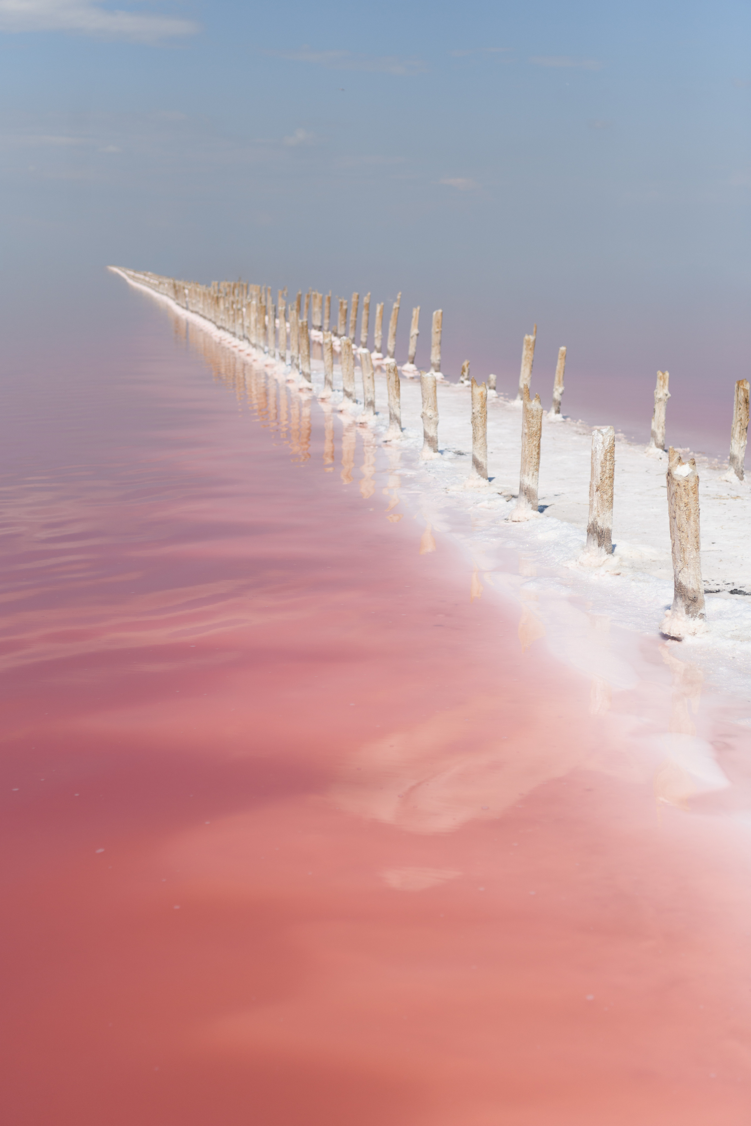 Розовое озеро. Фотограф беременности в Крыму Бобкова Ирина