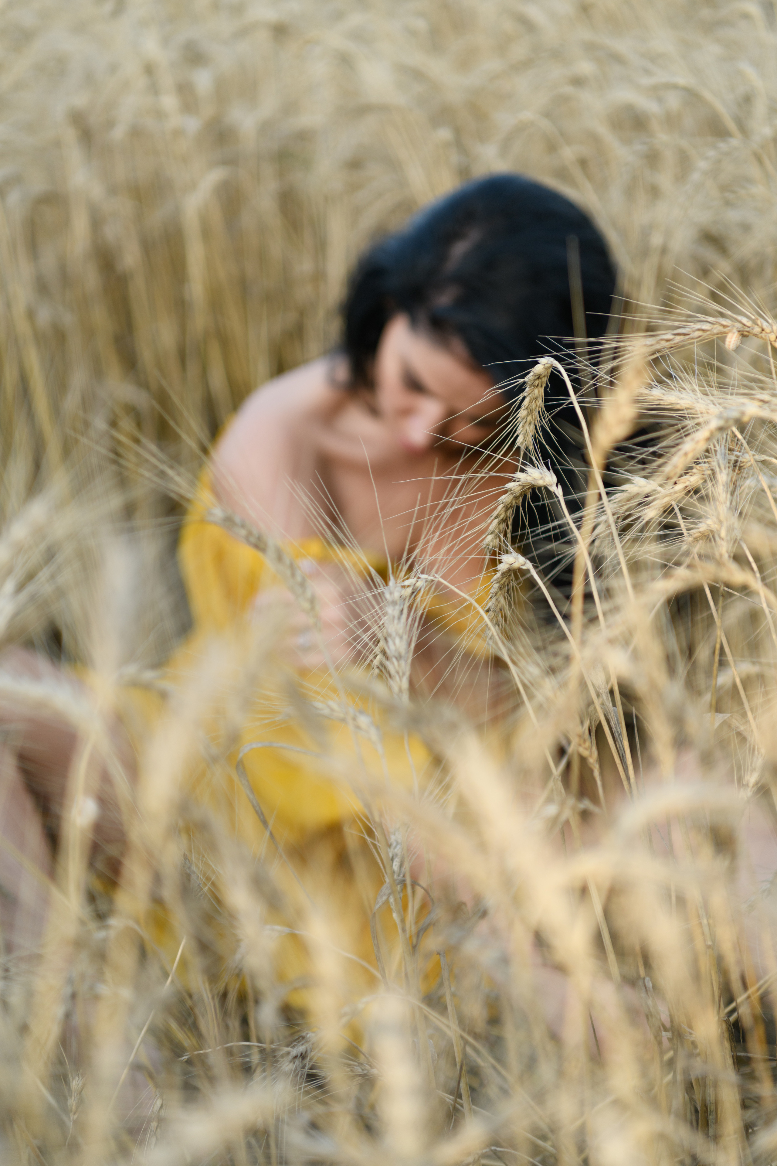 Пшеница. Фотограф беременности в Крыму Бобкова Ирина