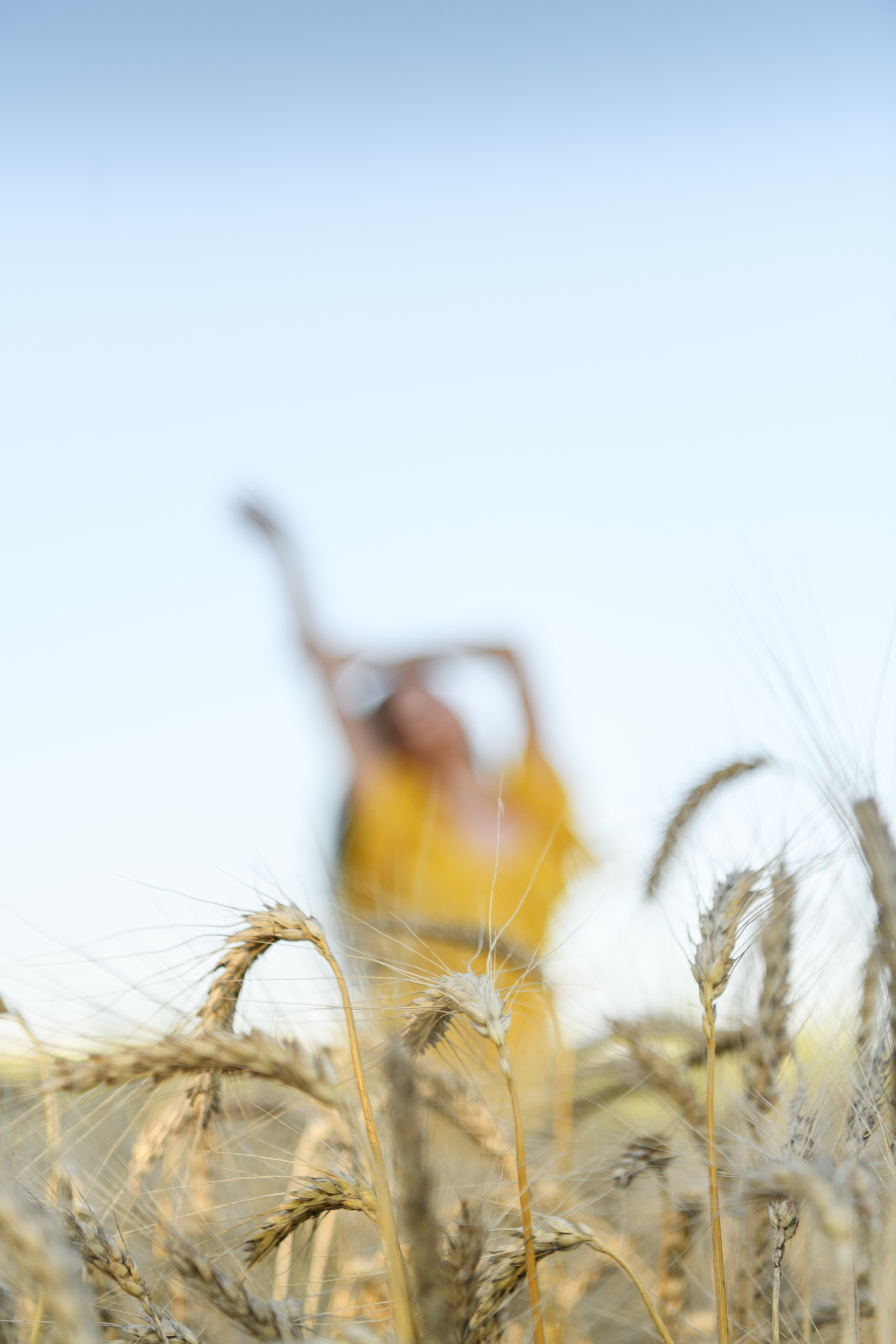 Пшеница. Фотограф беременности в Крыму Бобкова Ирина