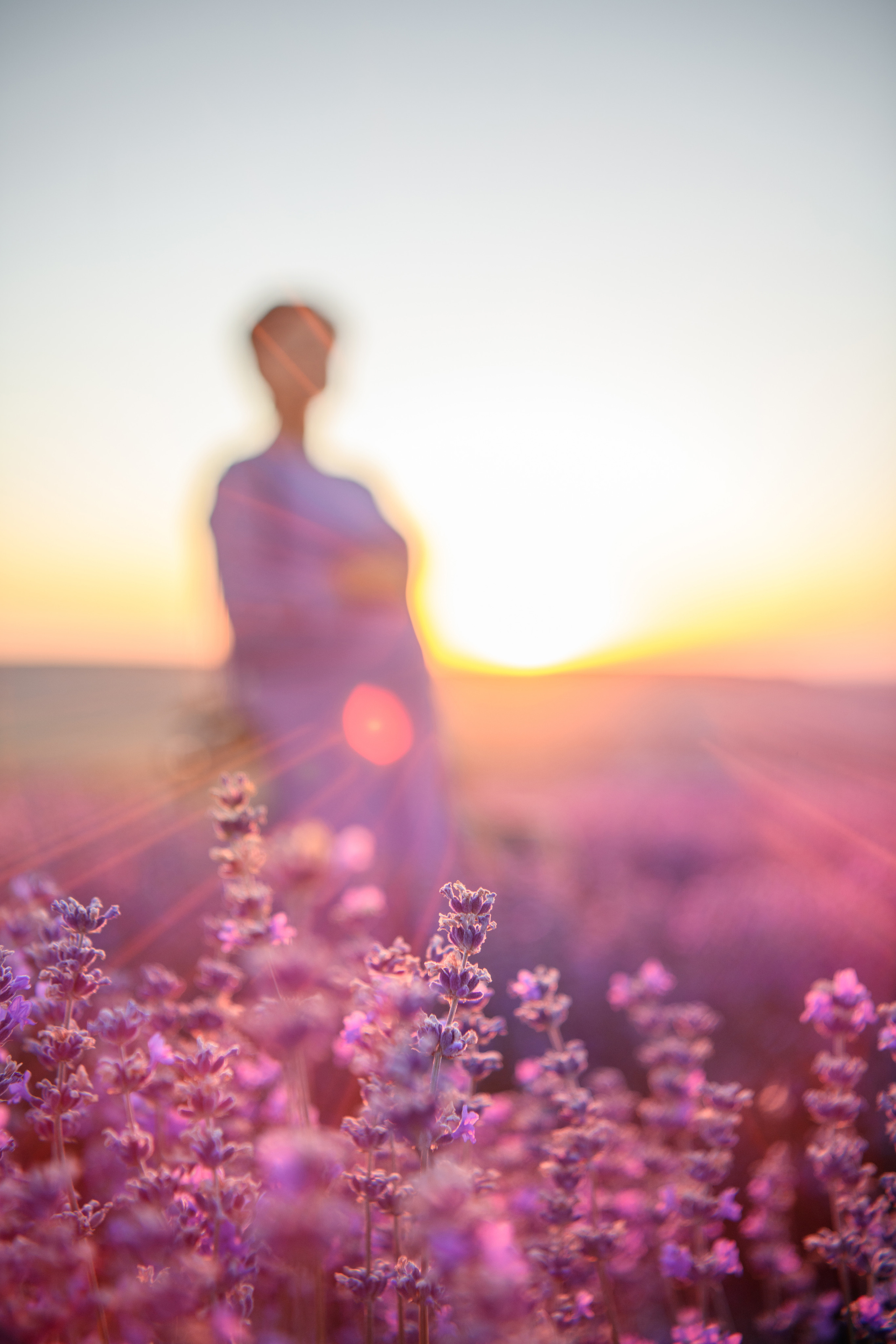 Лаванда / беременность. Фотограф беременности в Крыму Бобкова Ирина