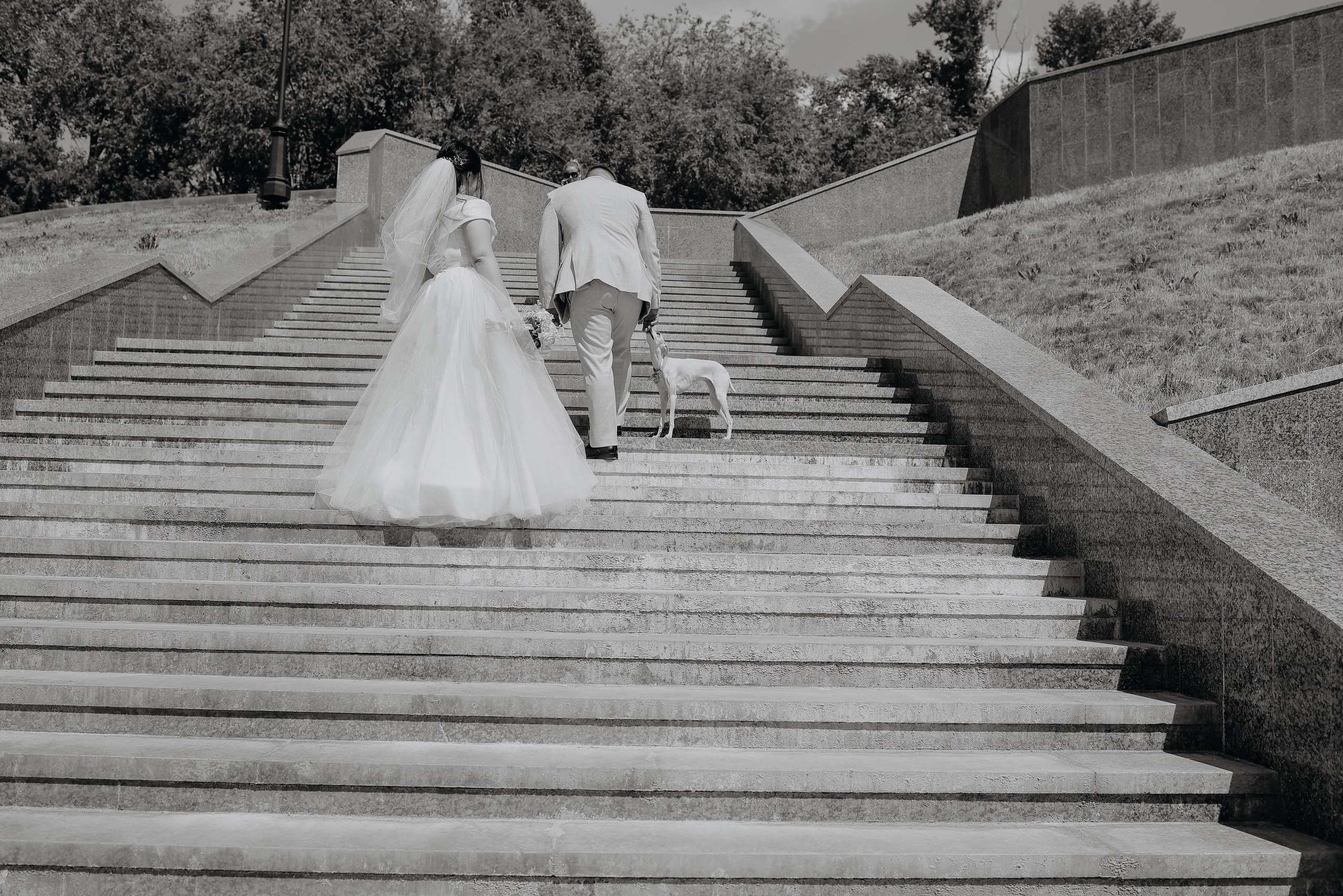 Алексей & Анастасия. Свадебный и семейный фотограф в Кинеле Евгения Исаева