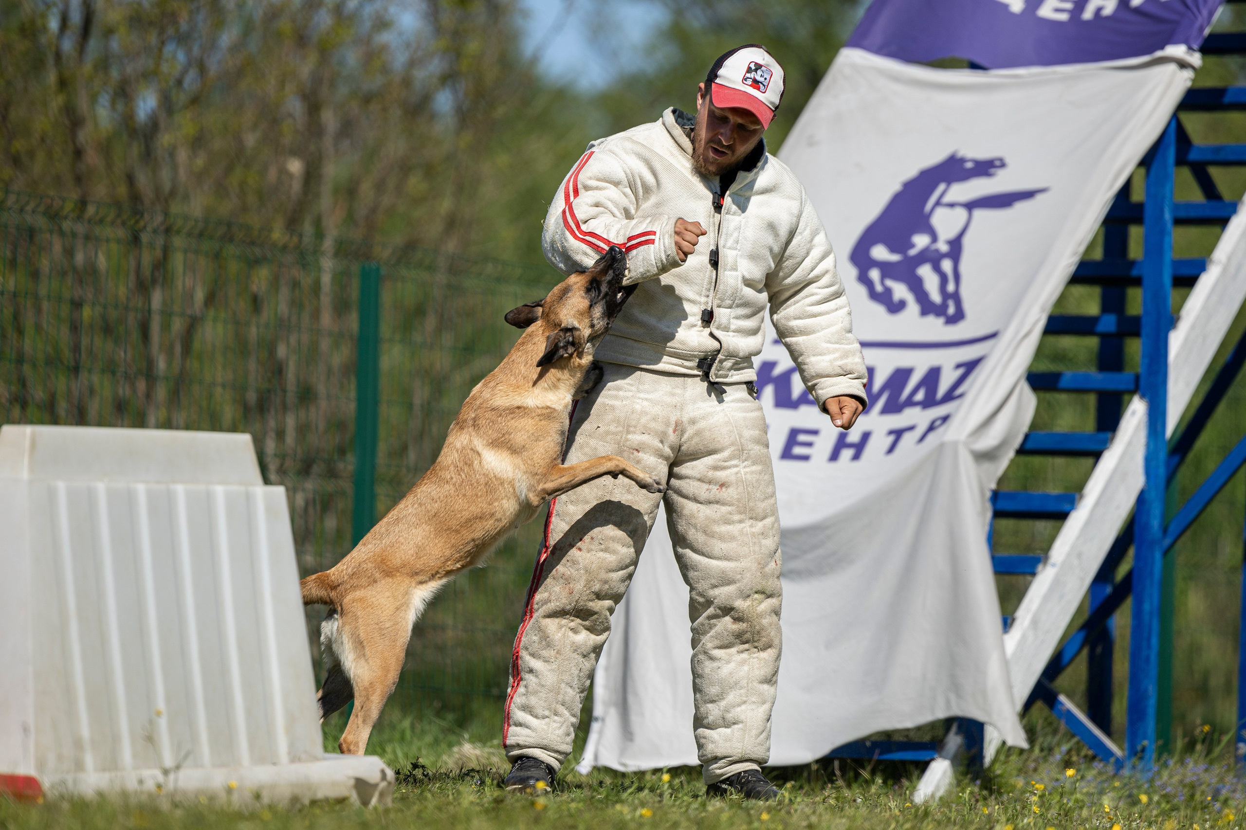 Испытания по мондьорингу в Нижнем Новгороде. Фотограф-анималист Анна Маринич
