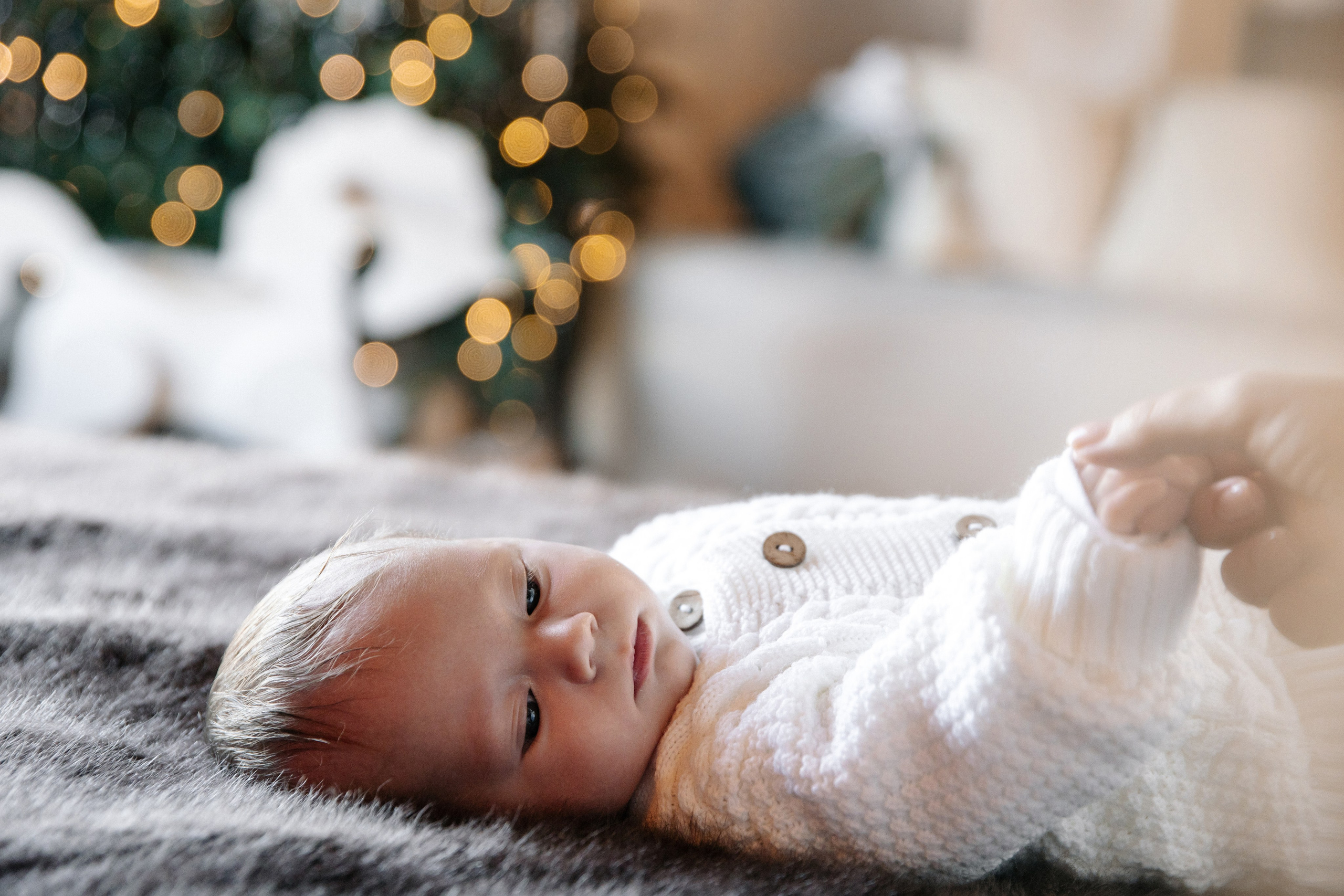 Фотостудия «Ёлка». Свадебный и семейный фотограф Краснодар, Юлия Потопахина