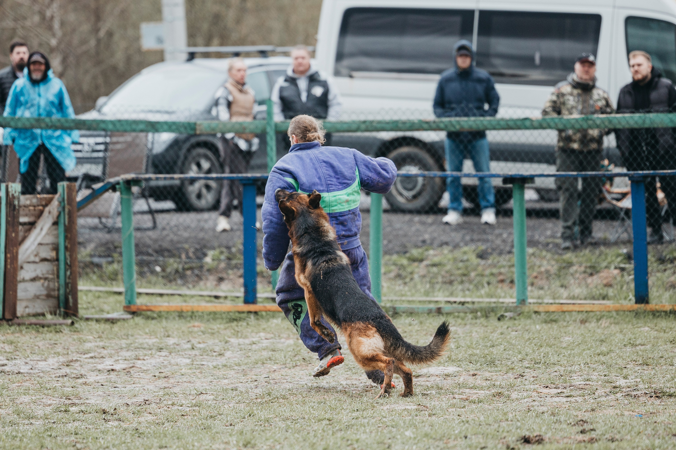 09.05.25 Вологда соревнования. Фотограф-анималист Анна Маринич