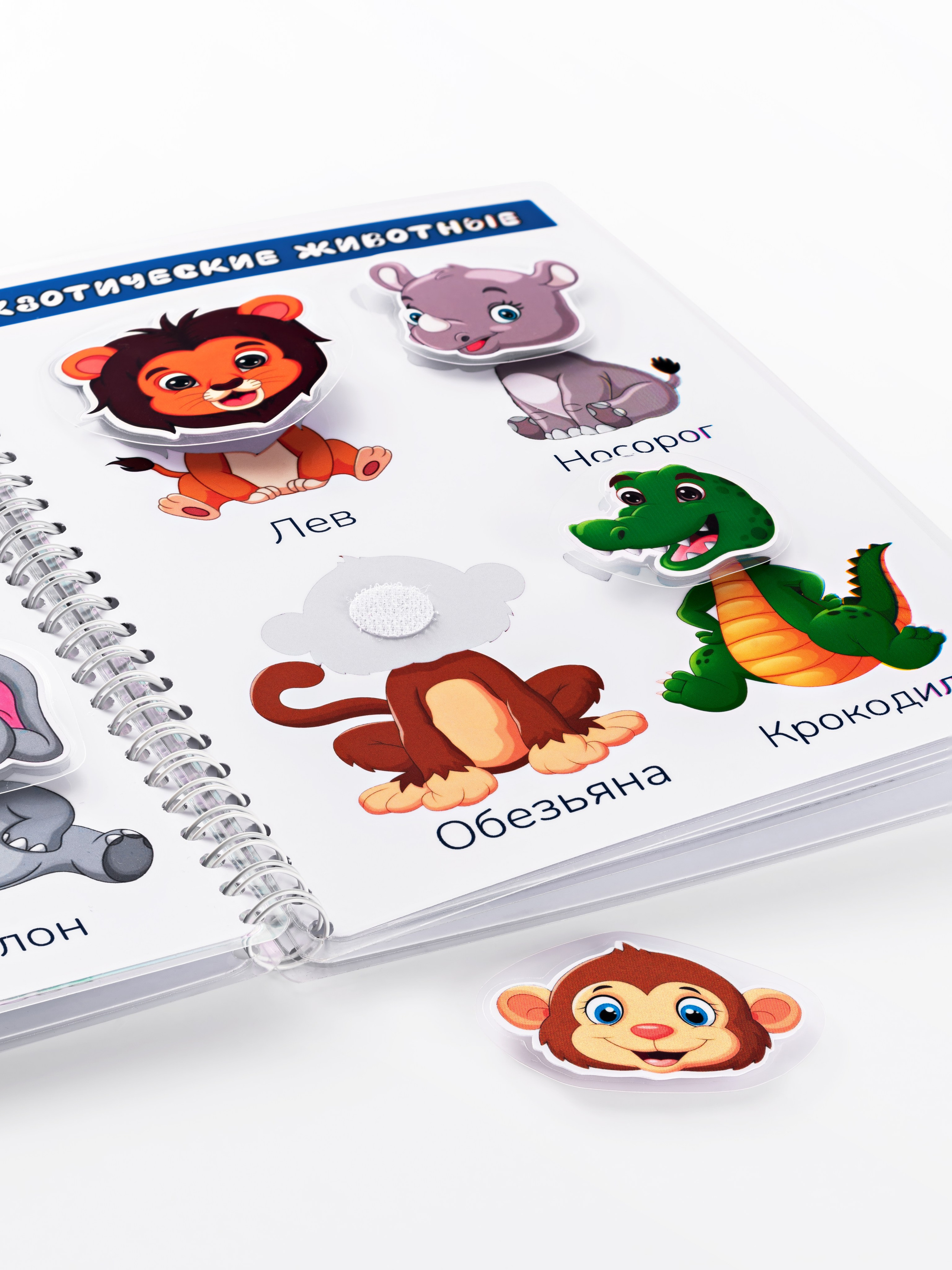 Фотографии для каталога. Предметный и рекламный фотограф Владимир Зубков в Бийске