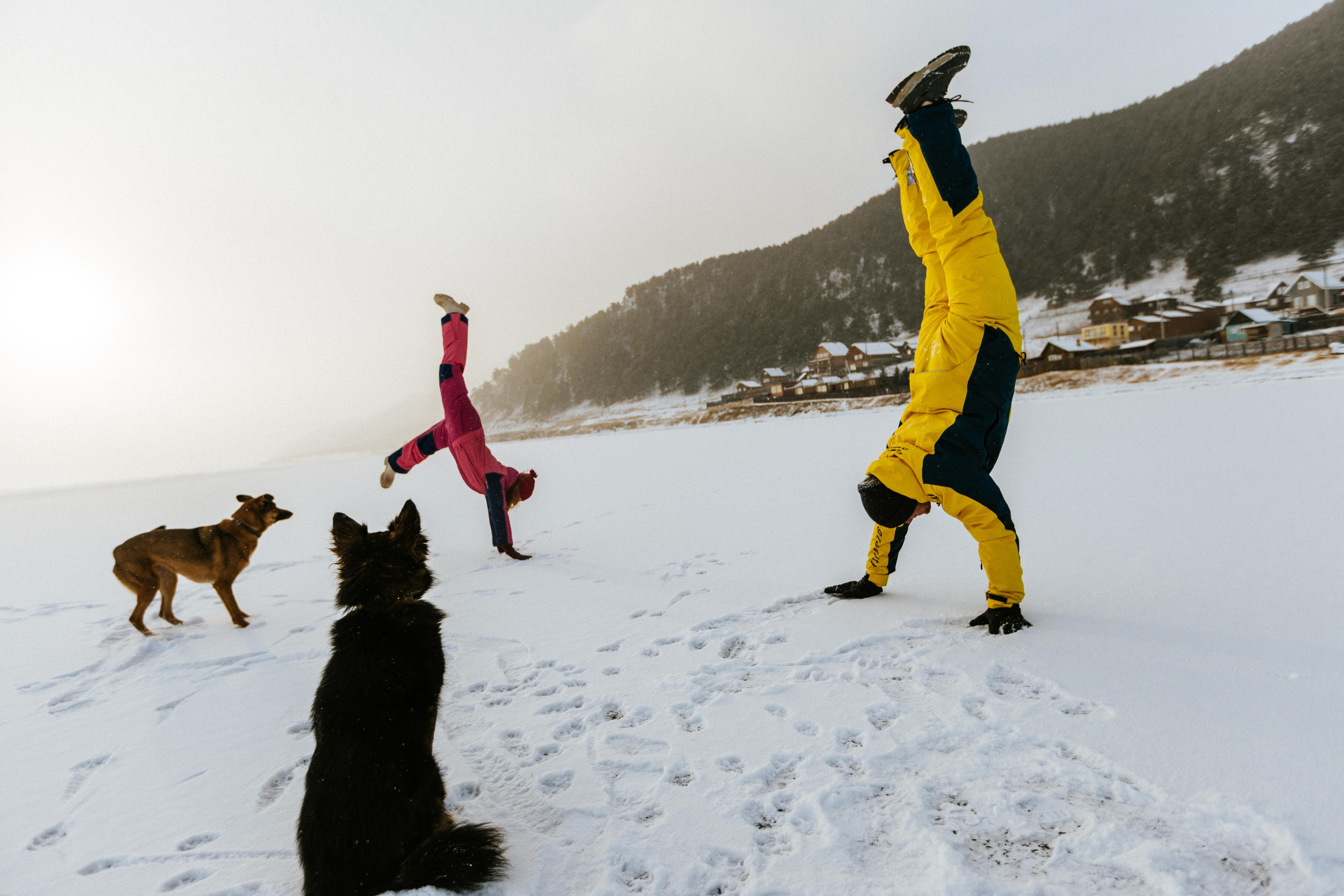 Свадьбы | love story