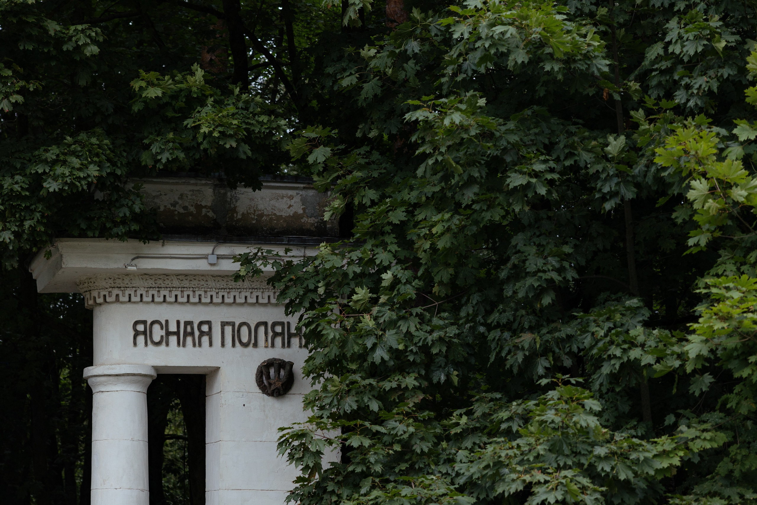 Ясная Поляна | Андрей и Кристина. Фотограф Москва | Кирилл Неплюев