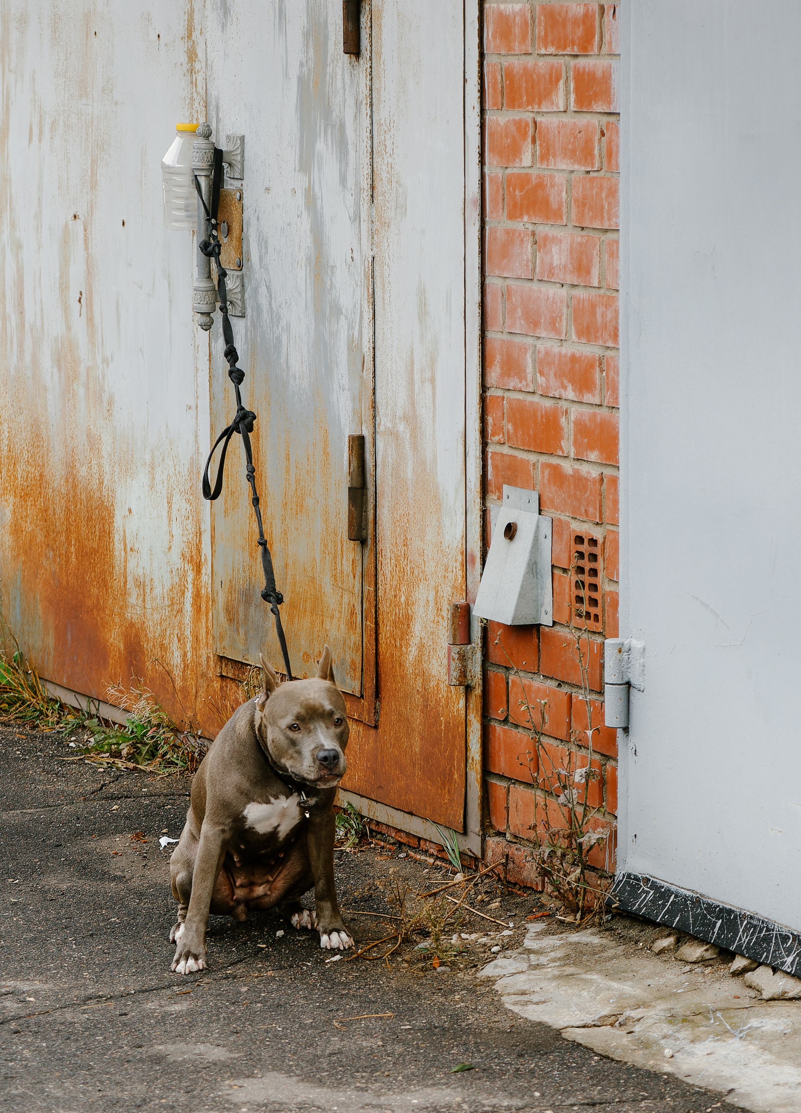 Бекстейдж / Репортаж