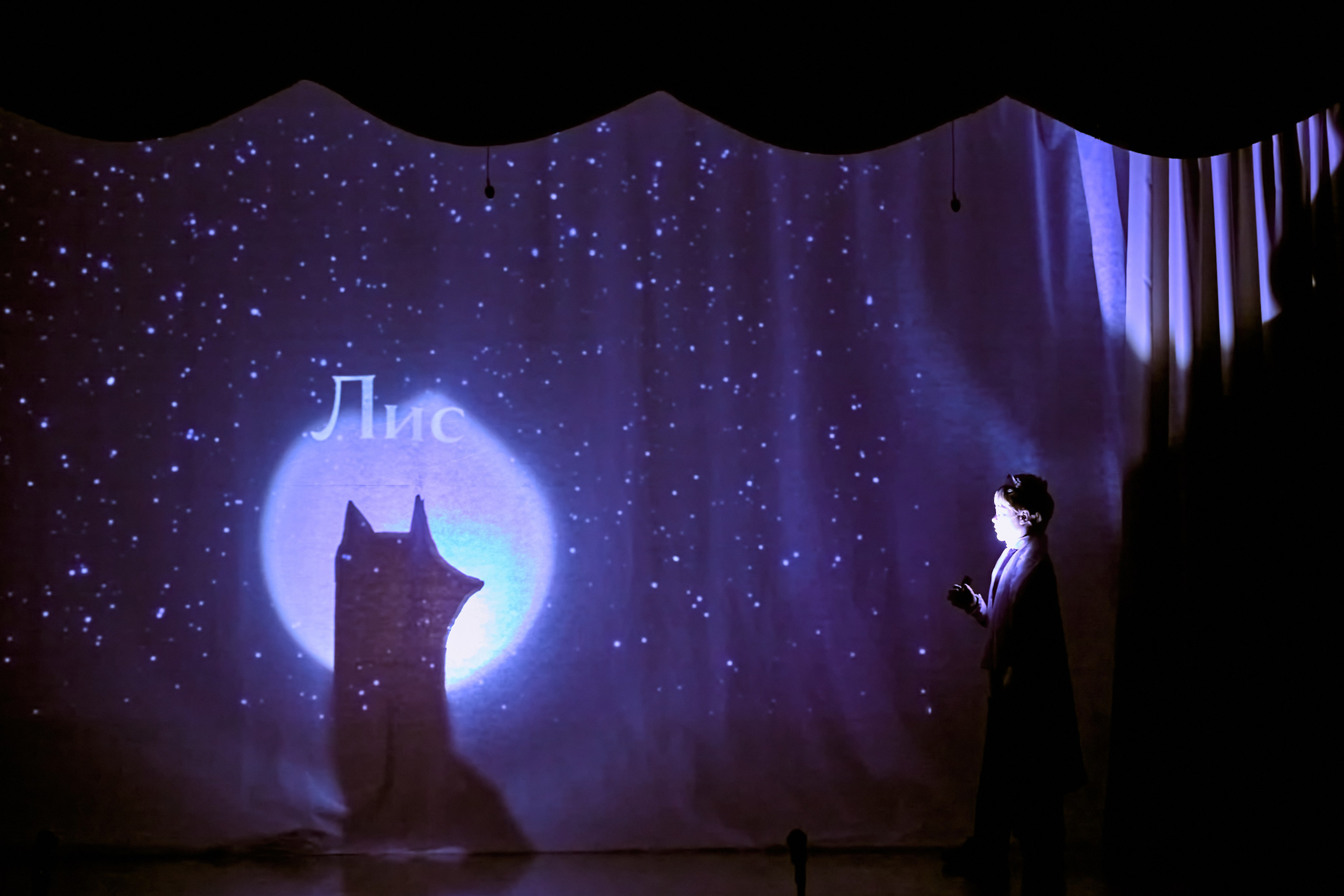 Фотографии с премьеры Маленький принц