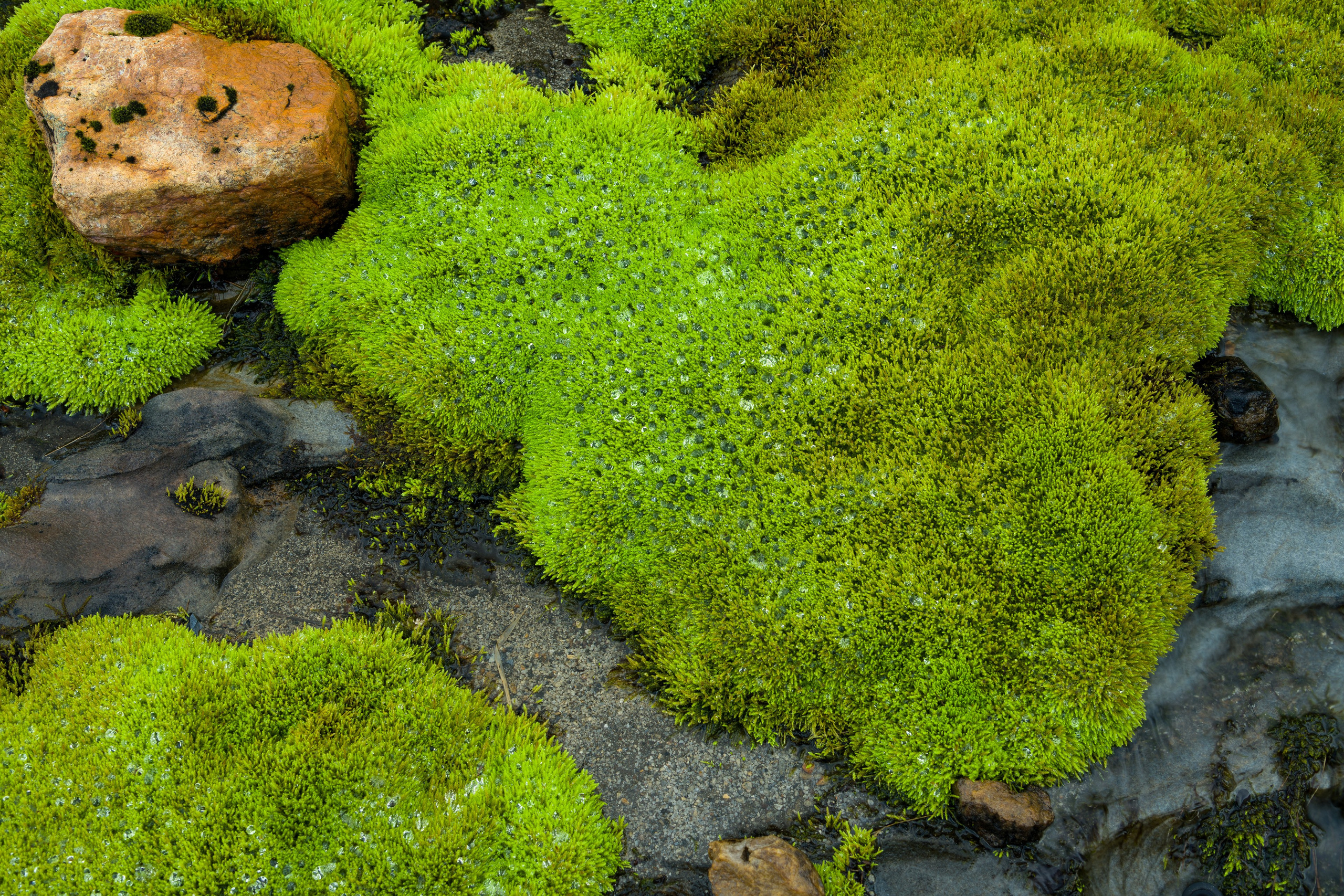 Норвегия. Северные Ночи