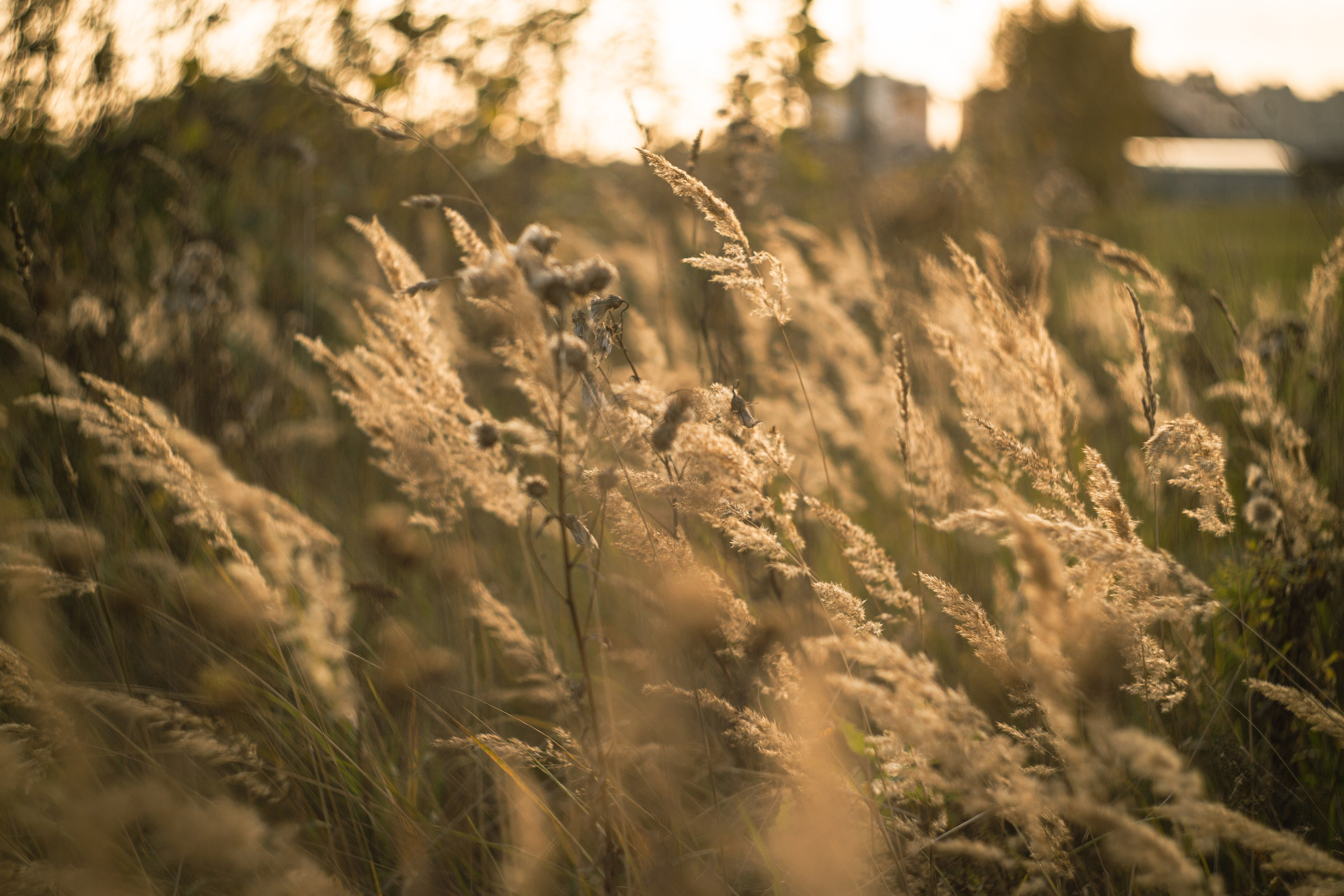 Сентябрь 2023. Efremovaphoto.ru