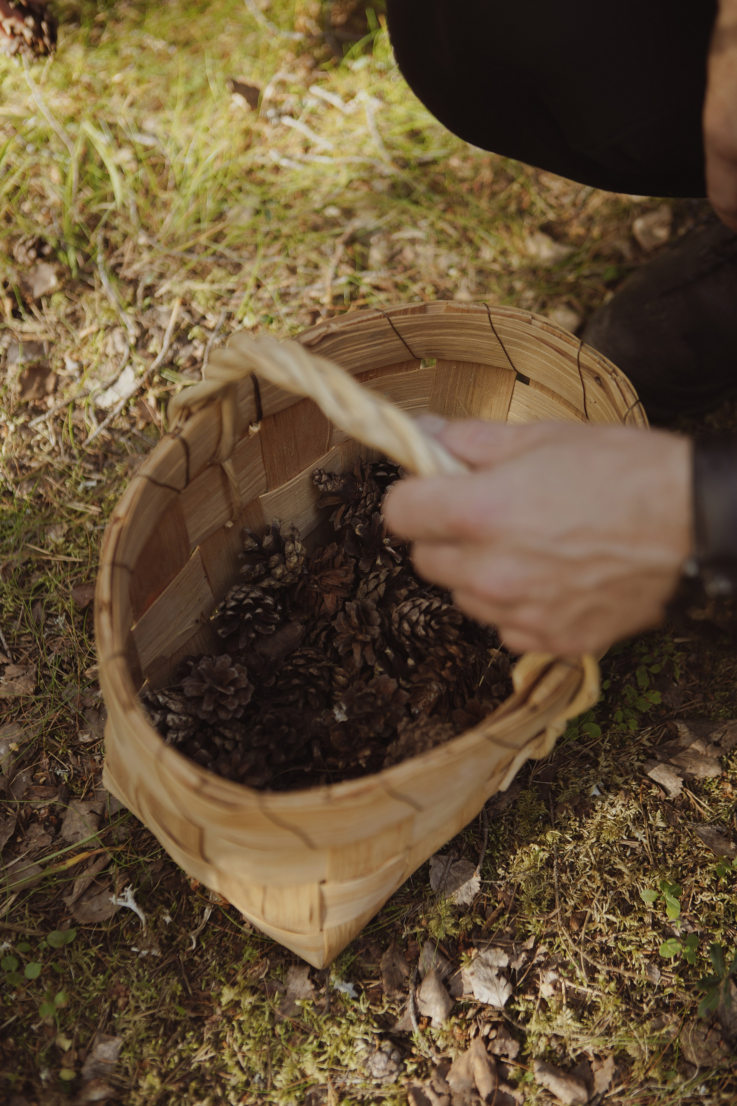 Семейная фотосессия в лесу. Фотограф в Москве Таша Логинова
