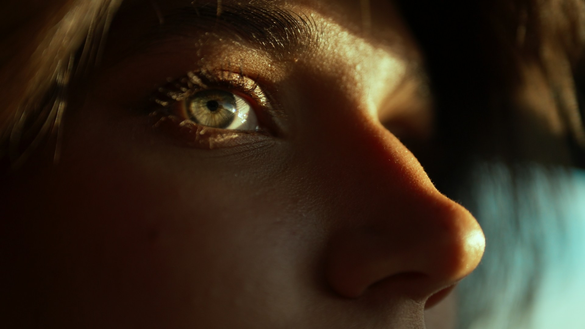 LUT / PRESETS. Haidarov