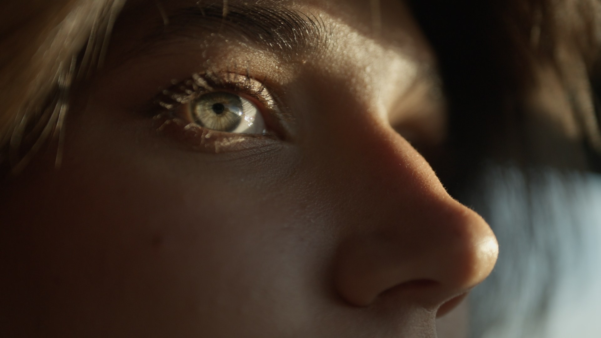 LUT / PRESETS. Haidarov