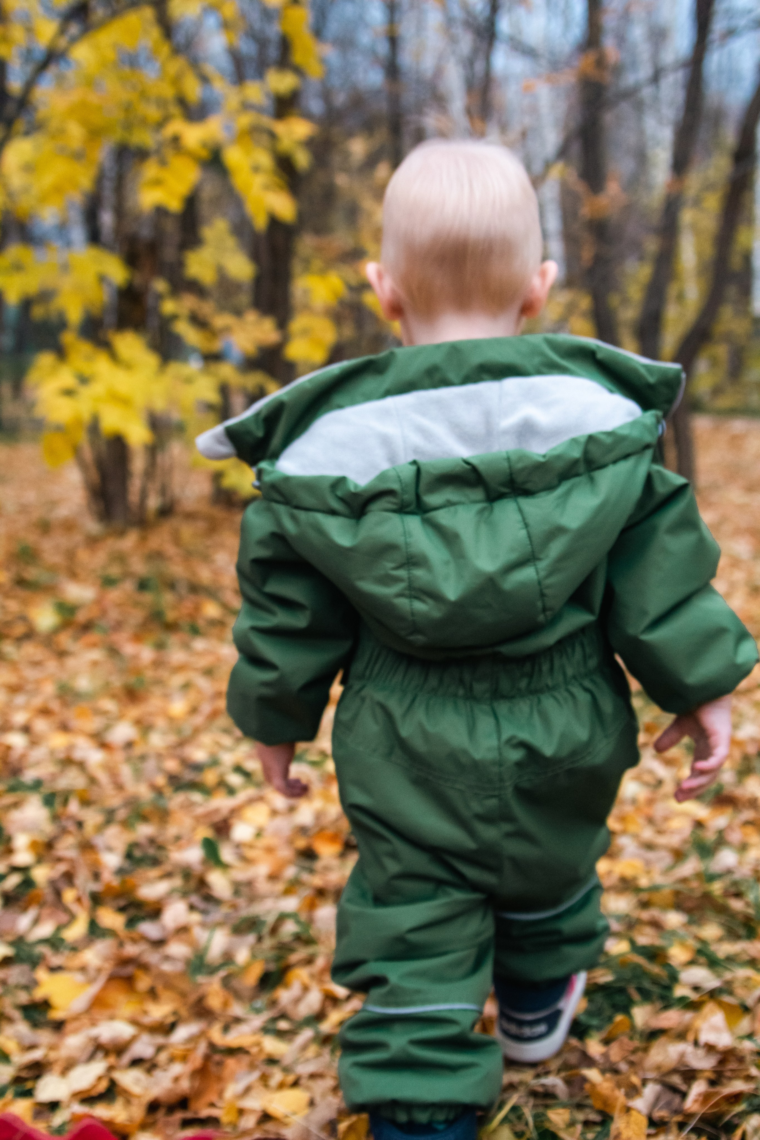 Настя и Максим. Екатерина Пашкова, фотограф, видеограф в Томске