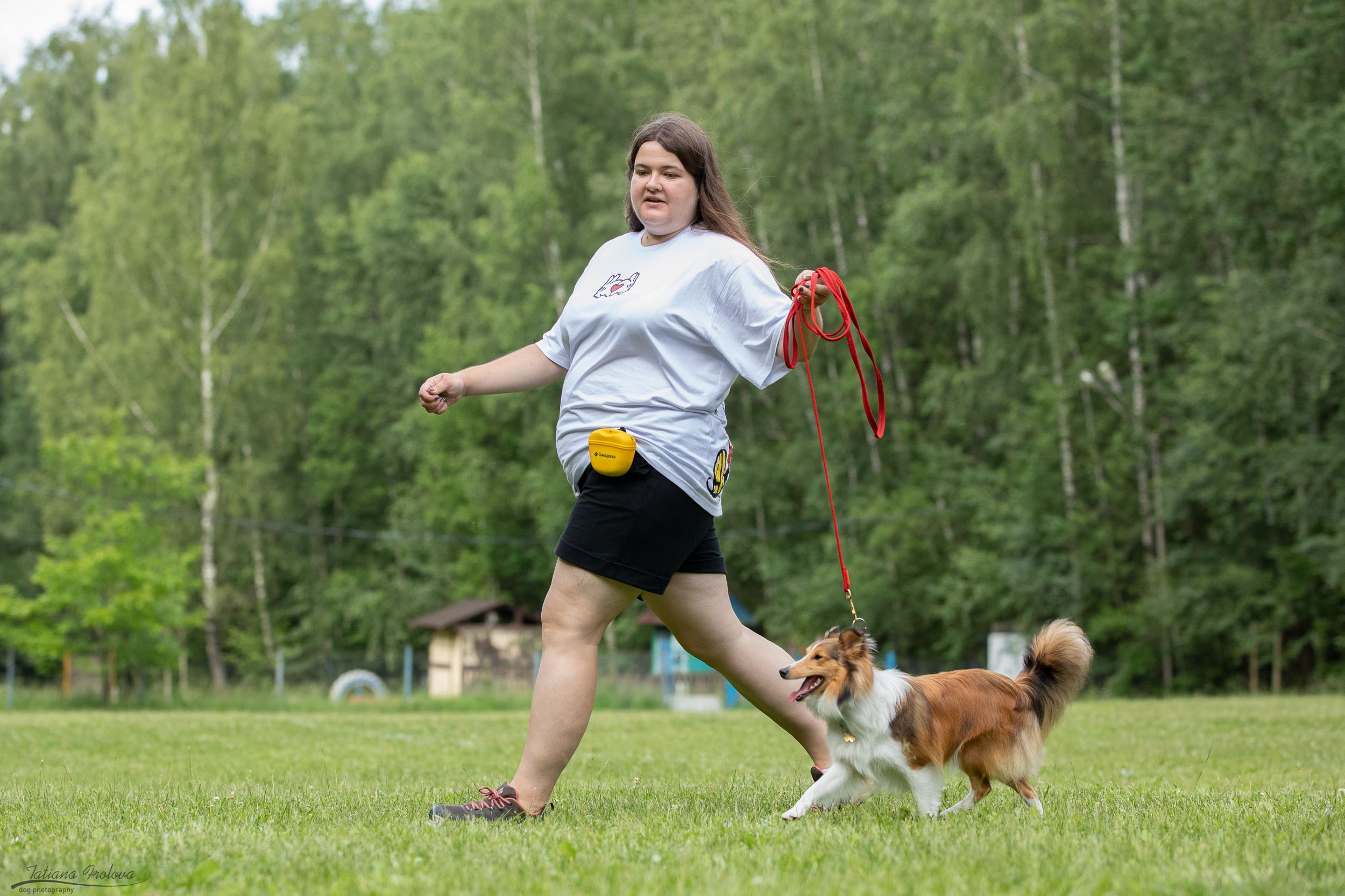 Репортаж с выводки молодняка колли/шелти в Ясенево. Фотограф-анималист в Москве и Московской области Татьяна Фролова