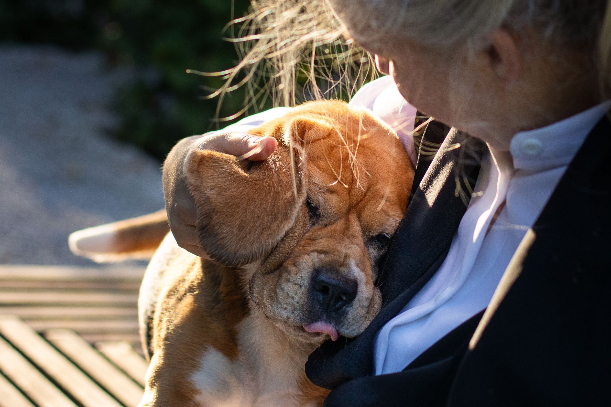 Фотопрогулка с Татьяной и биглем Евой. Фотограф-анималист в Москве и Московской области Татьяна Фролова