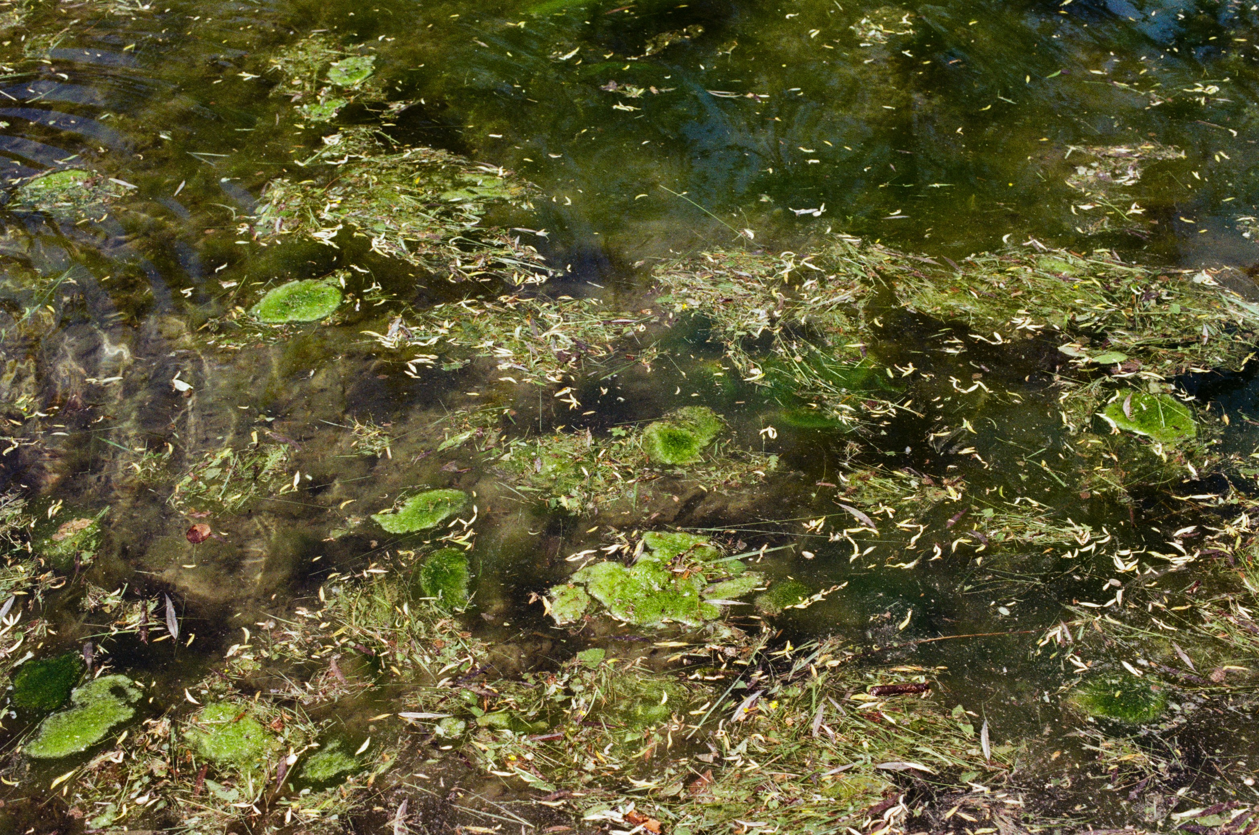 Point of no reply // ukraine, crimea. EVER EXPOSED