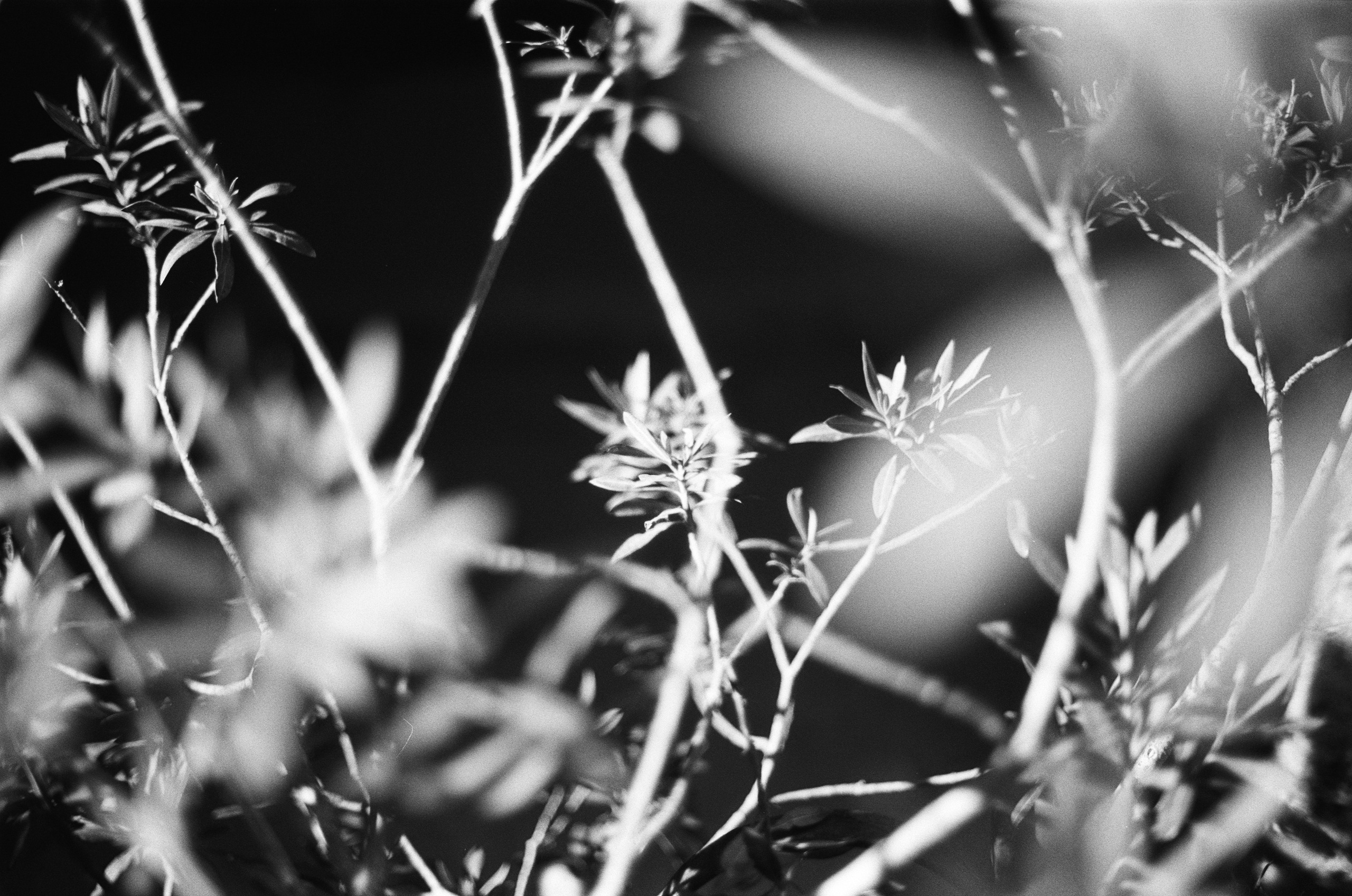 Complicated // turkey, istanbul IV. EVER EXPOSED