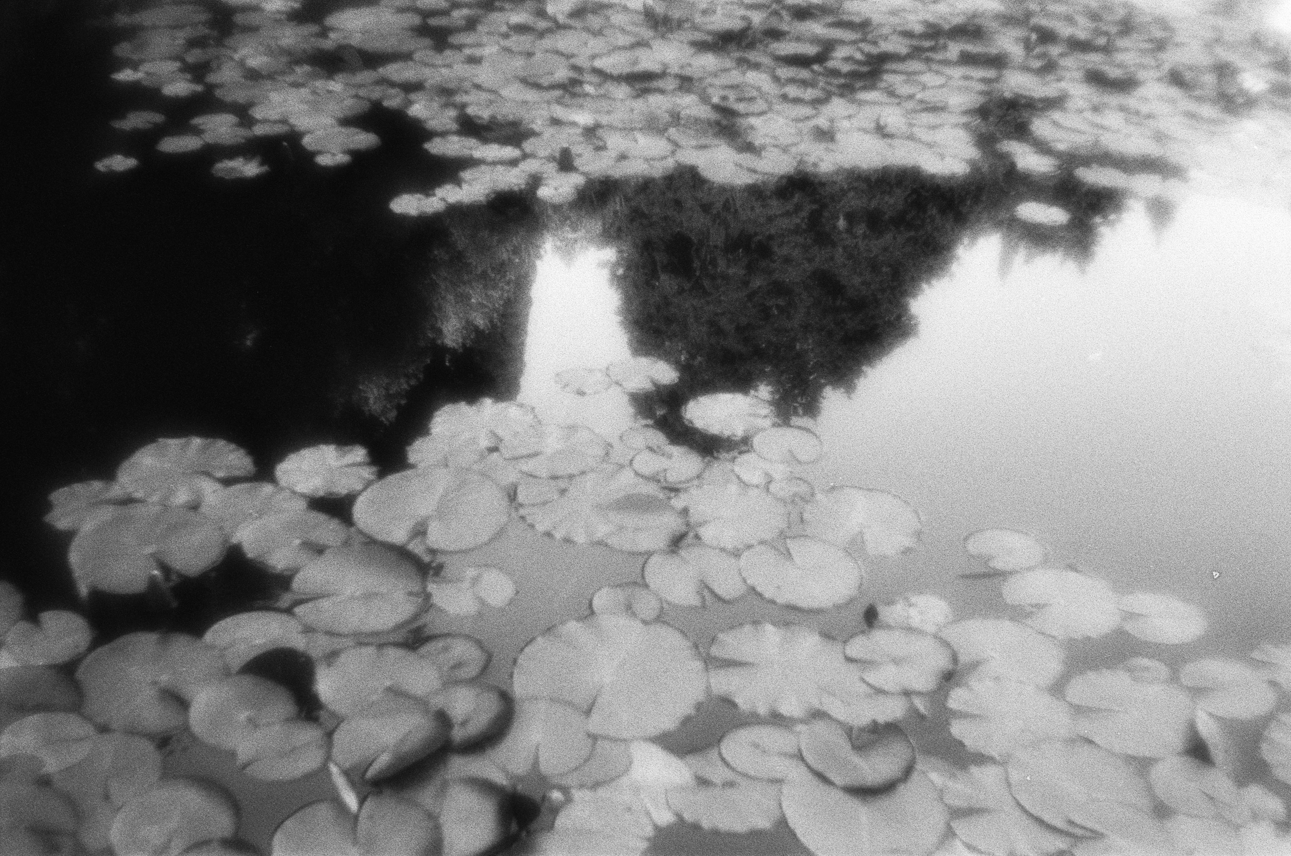 Oblomki chuvstv // ukraine, crimea VI. EVER EXPOSED