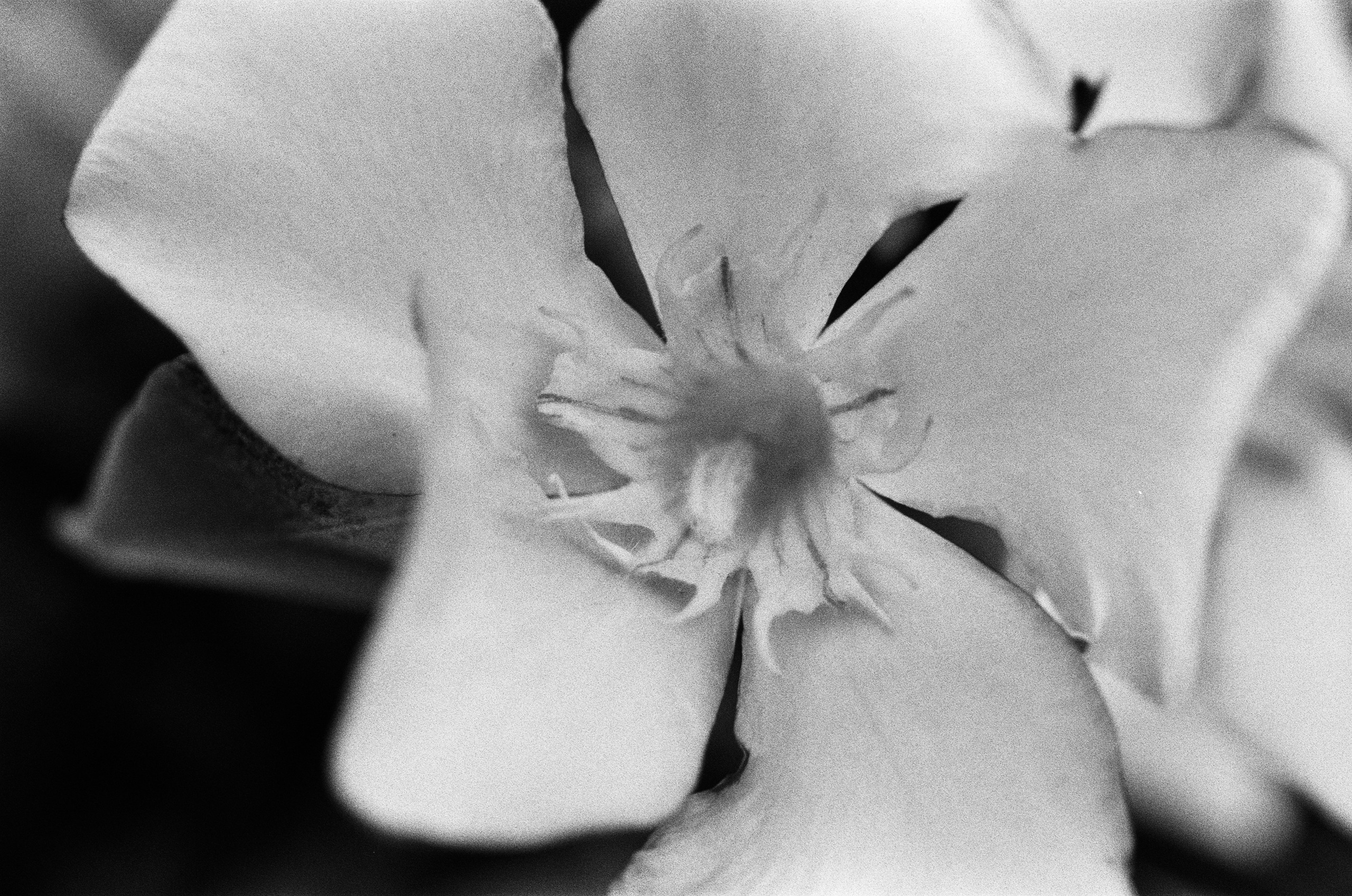 Oblomki chuvstv // ukraine, crimea VII. EVER EXPOSED