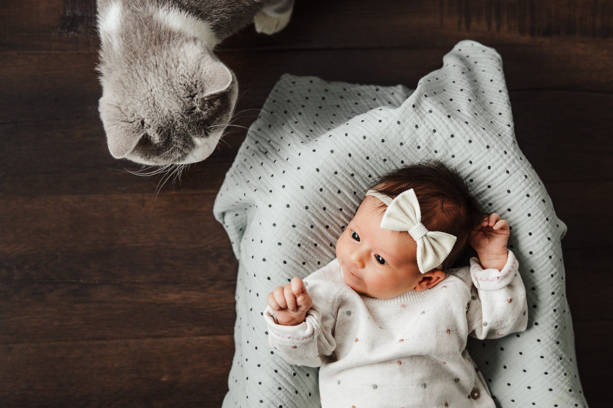 Оливия. Семейный и детский фотограф в Краснодаре. Фотограф новорожденных. Фотограф ньюборн. Фотограф родов Краснодар. Катя Угнивенко