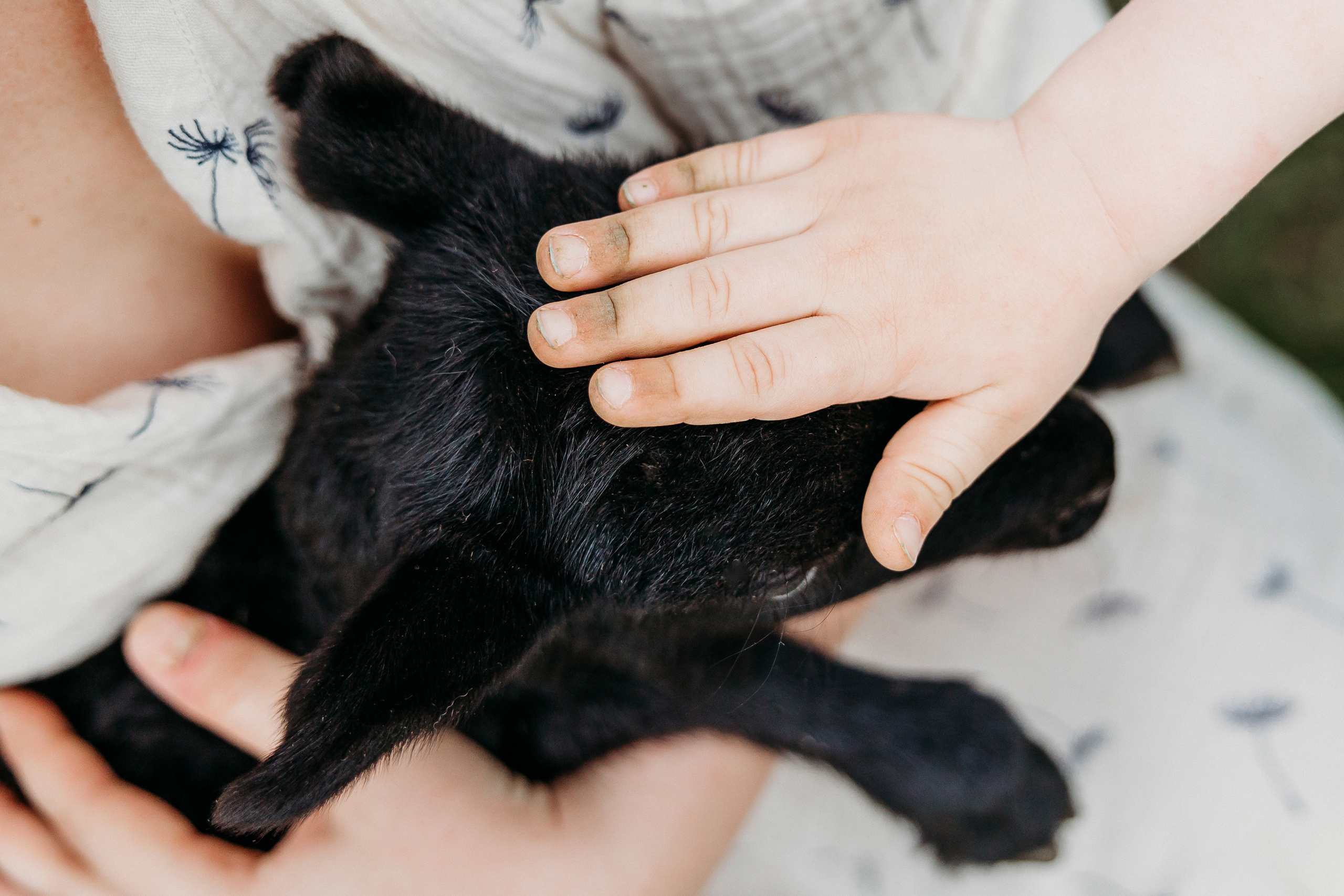 Карина, Гена и Сеня. Семейный и детский фотограф в Краснодаре. Фотограф новорожденных. Фотограф ньюборн. Фотограф родов Краснодар. Катя Угнивенко