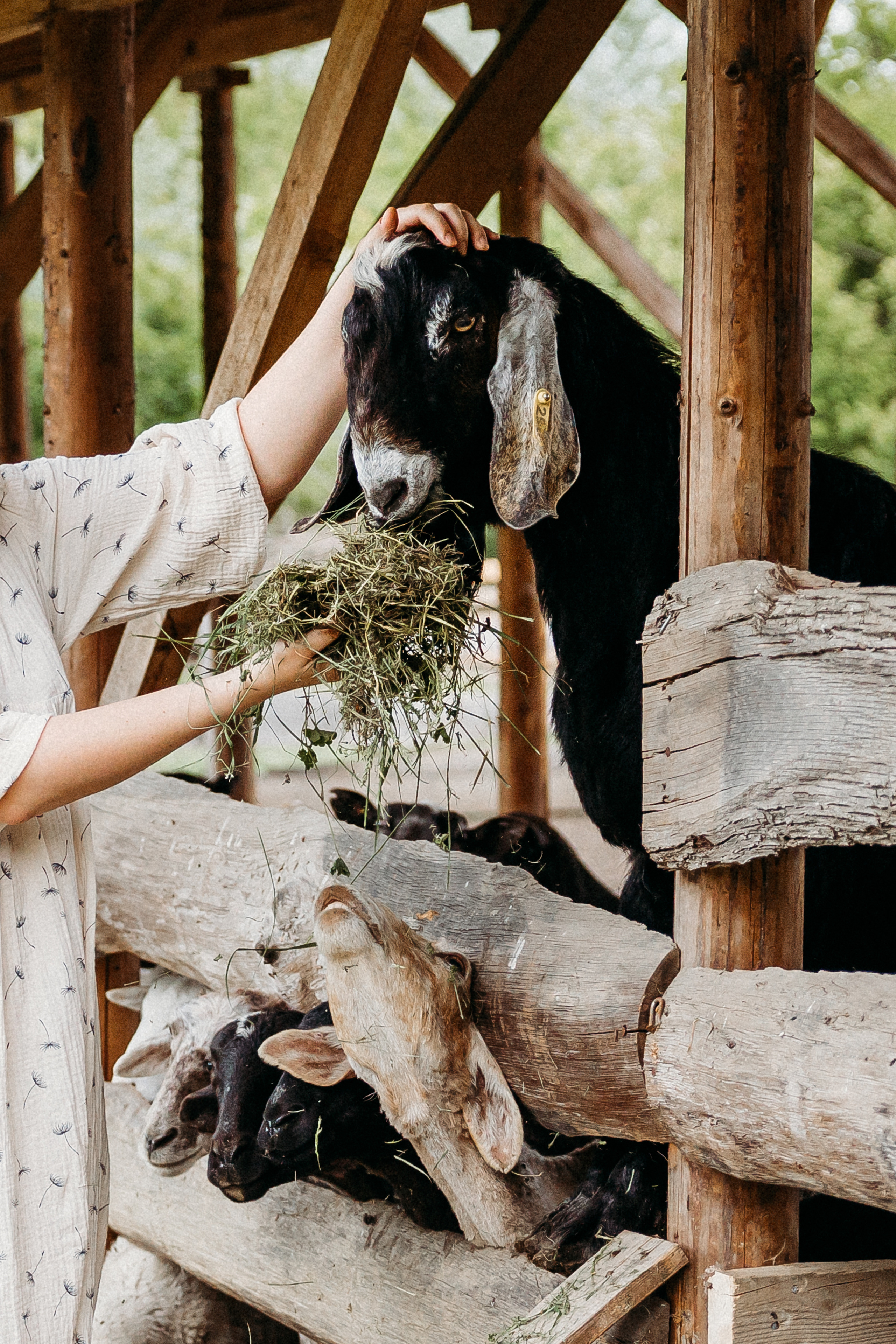 Карина, Гена и Сеня. Семейный и детский фотограф в Краснодаре. Фотограф новорожденных. Фотограф ньюборн. Фотограф родов Краснодар. Катя Угнивенко