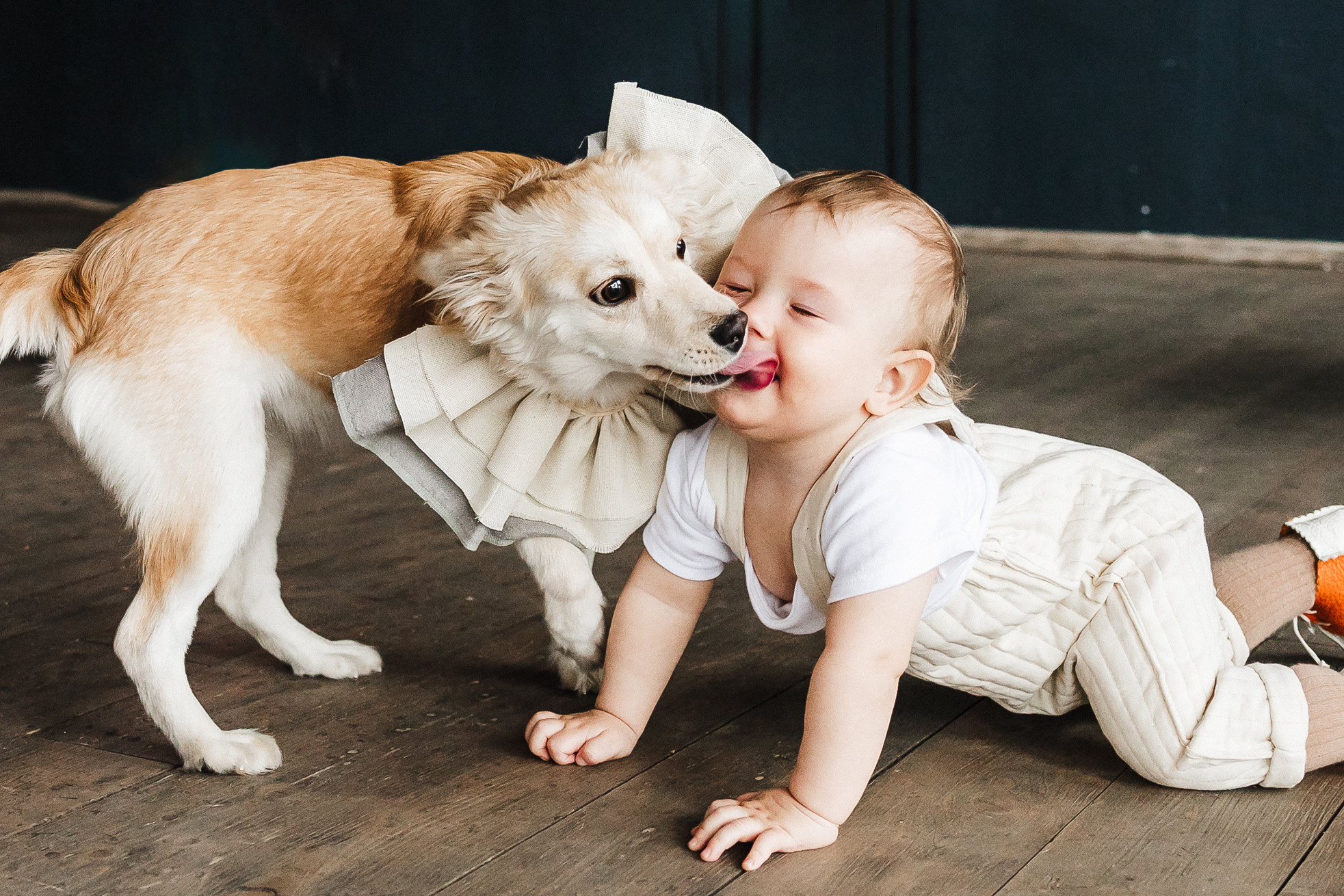Один годик Феде. Семейный и детский фотограф в Краснодаре. Фотограф новорожденных. Фотограф ньюборн. Фотограф родов Краснодар. Катя Угнивенко
