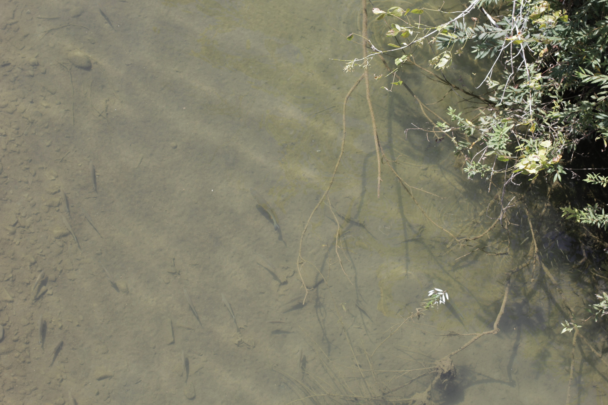 Горячий Ключ (2024-09-22). Собор Отрасли