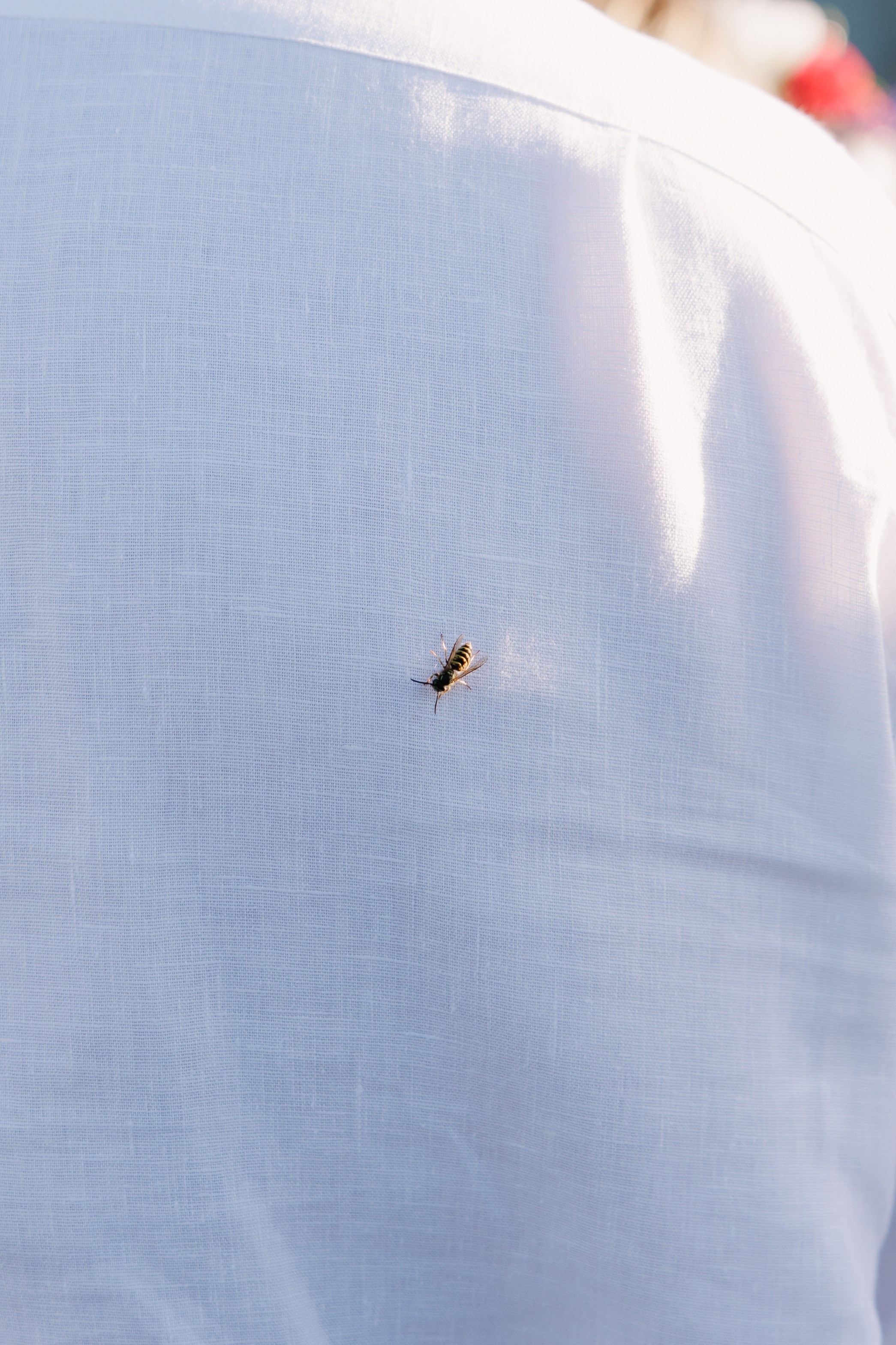 Artem & Viktoria. Wedding and family photographer in Moscow