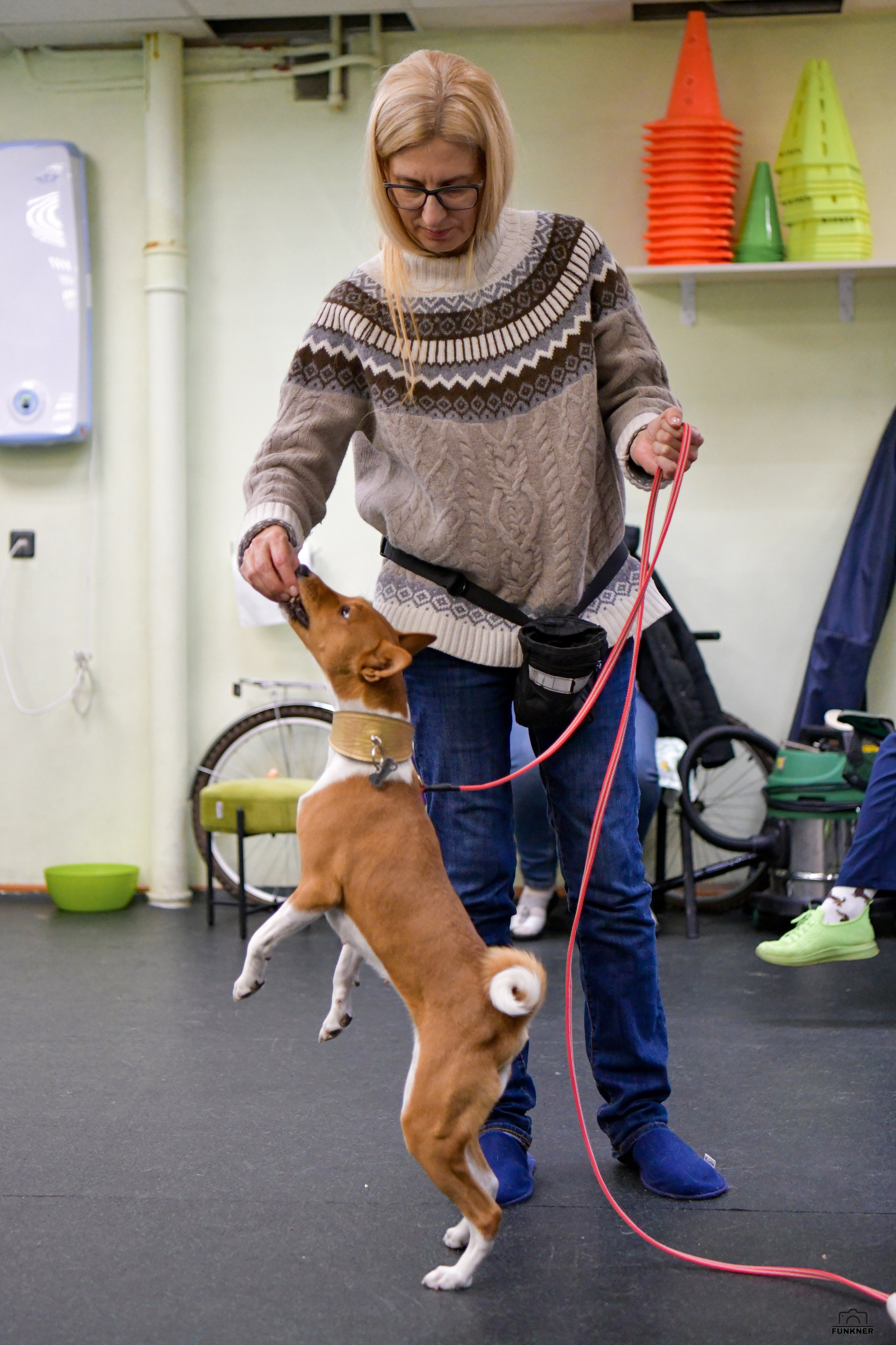 Кинологический клуб «Бодрый хвост». Свой взгляд через объектив