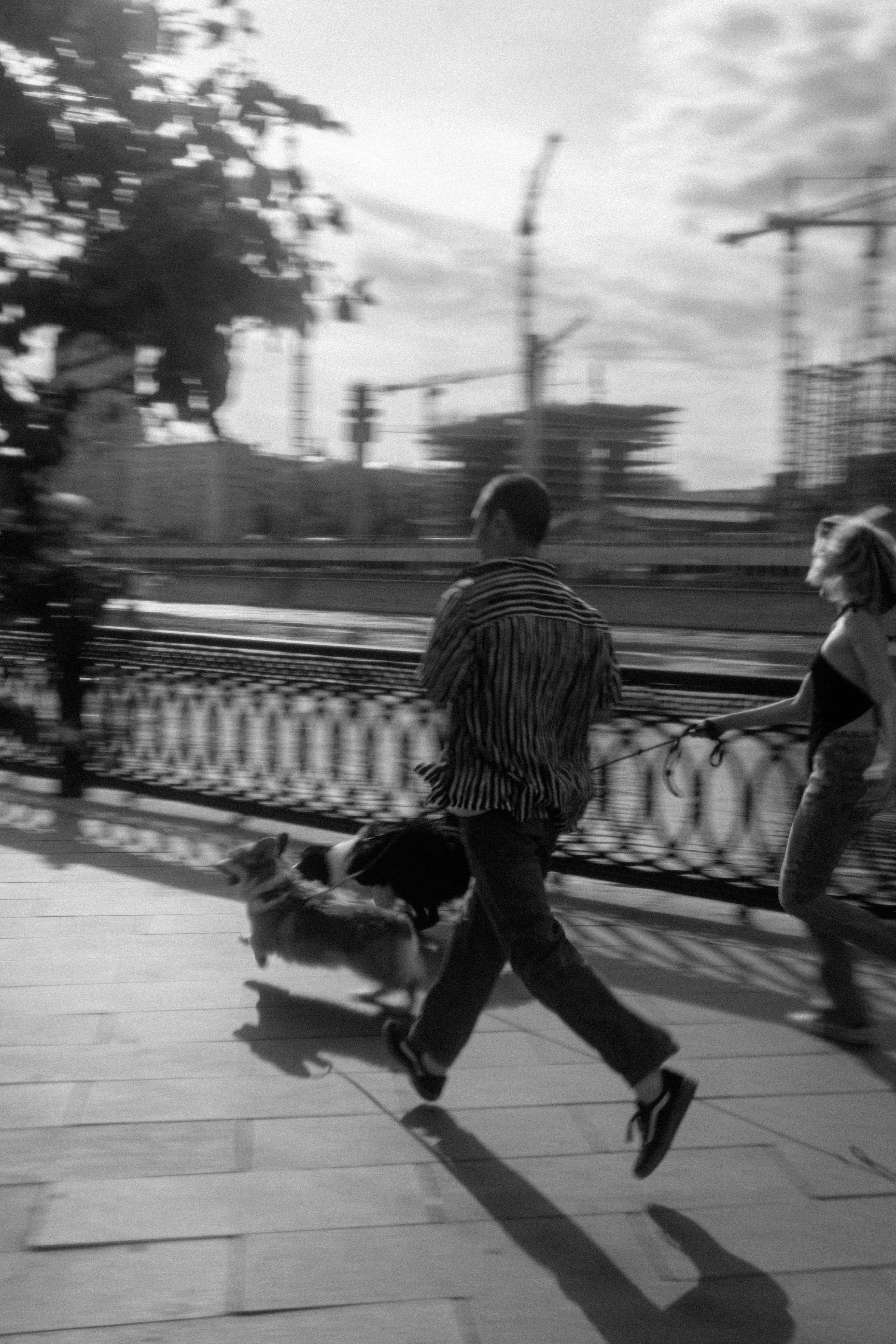 Брюс, Вейв и их ро. Фотораф — анималист Мария Шистка