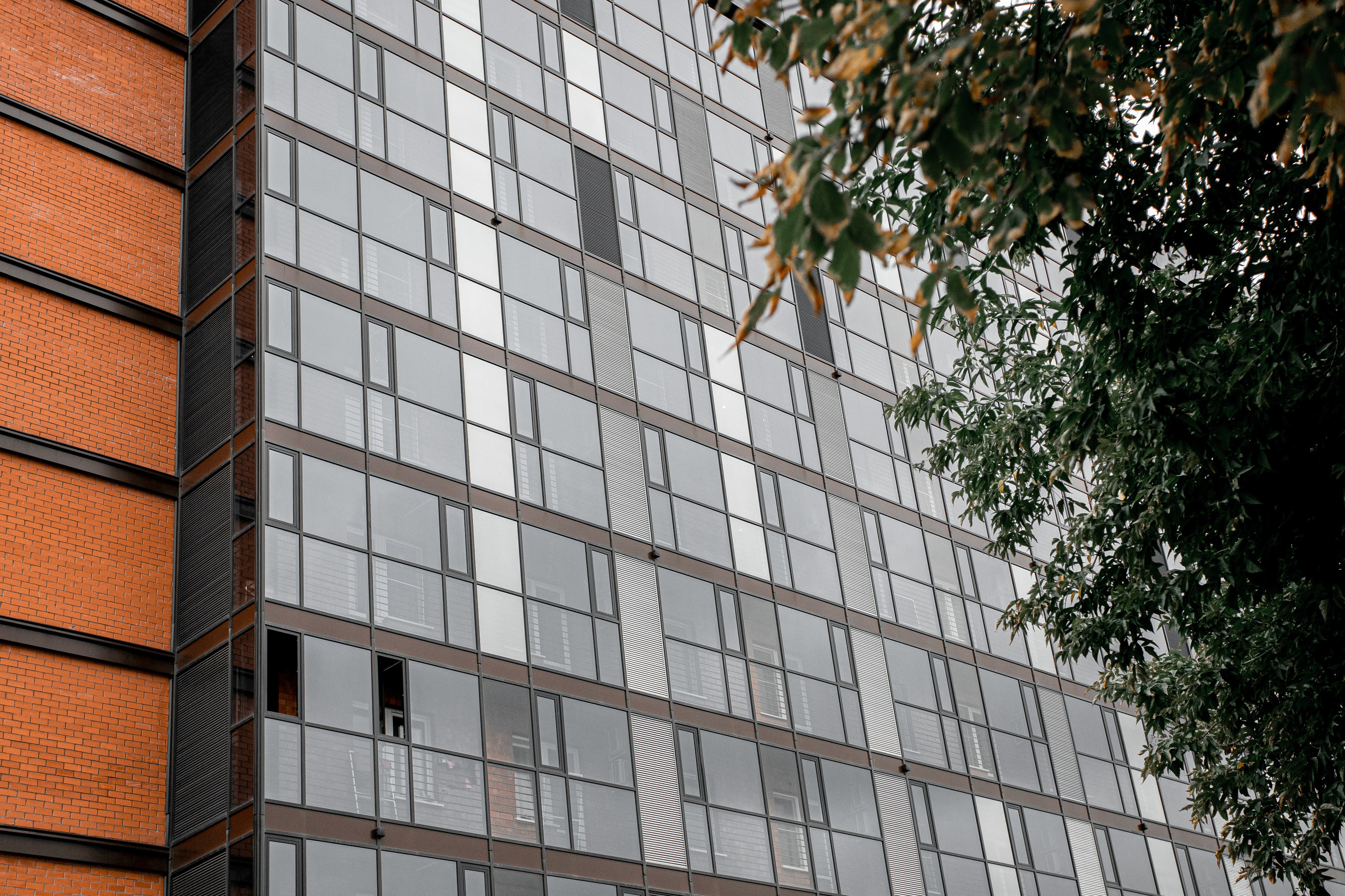 Фасады. Фотограф Тюмень Александр Долгих