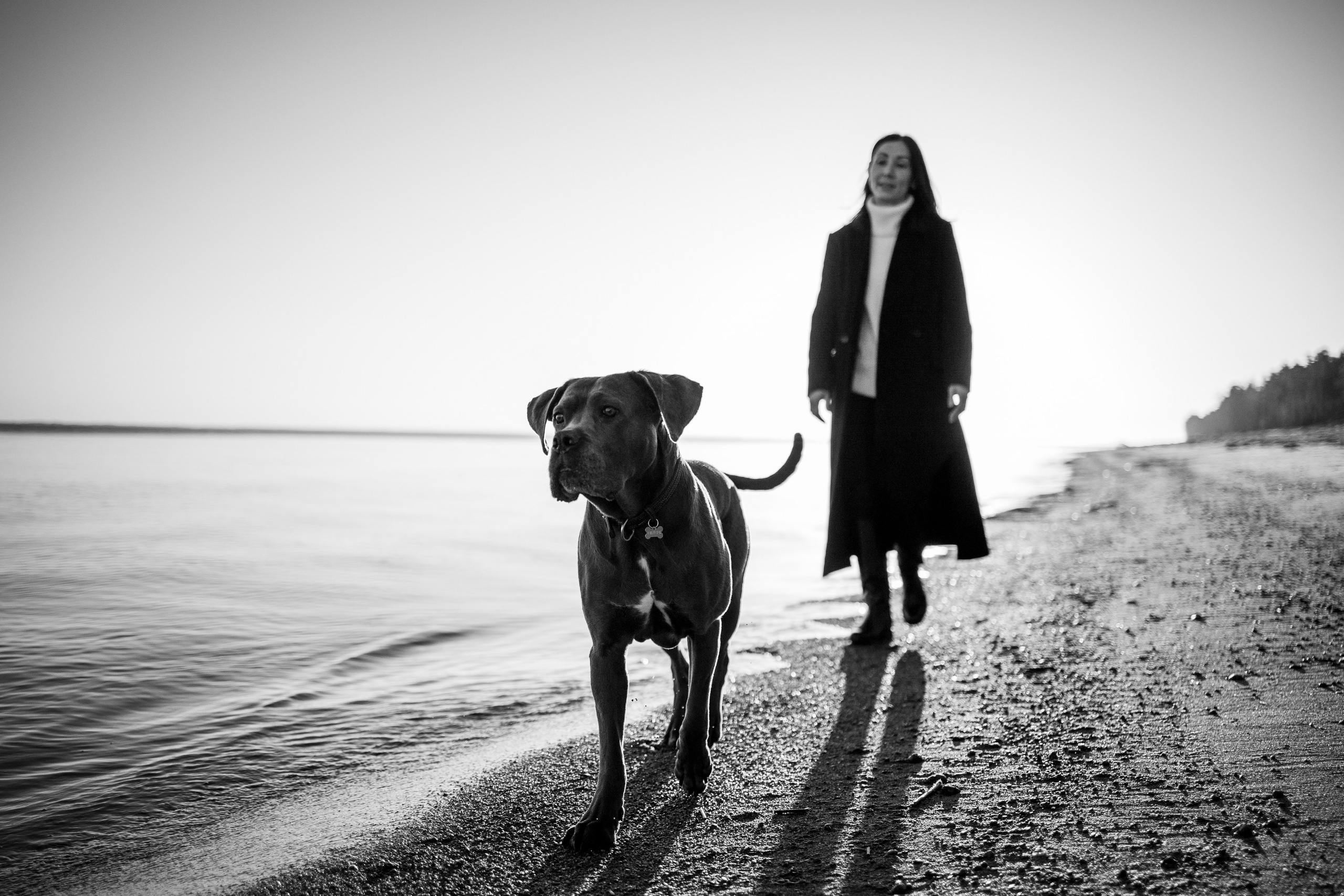 Анна и Лана. Фотограф — Анималист | Санкт-Петербург